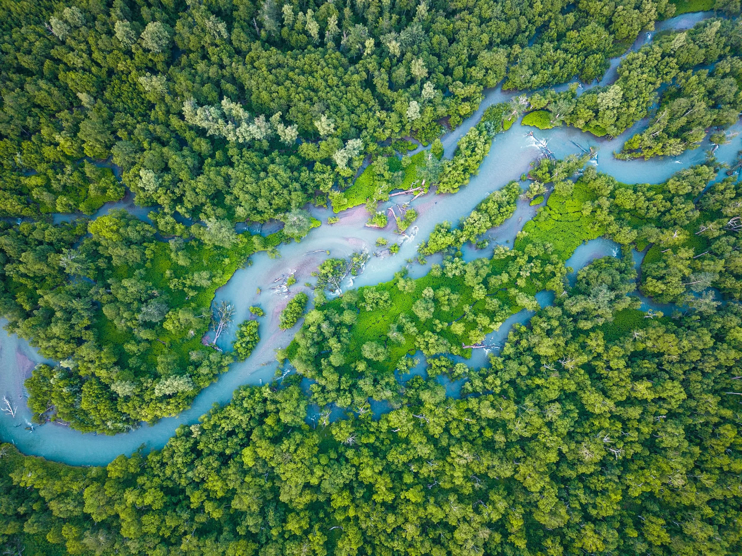 Paratunka River, Kamchatka, Russia
