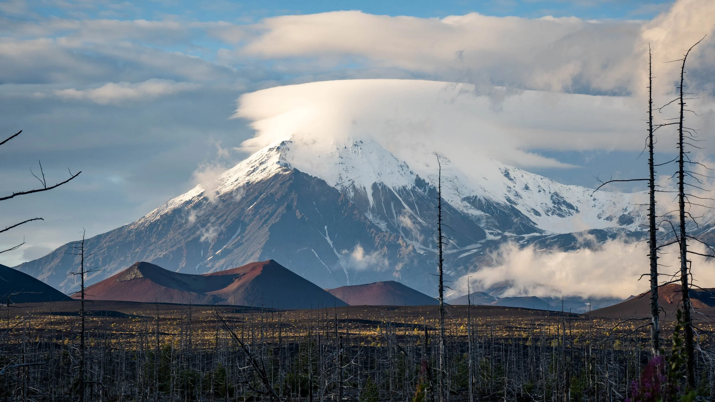 托尔巴奇克火山，死亡森林侧
