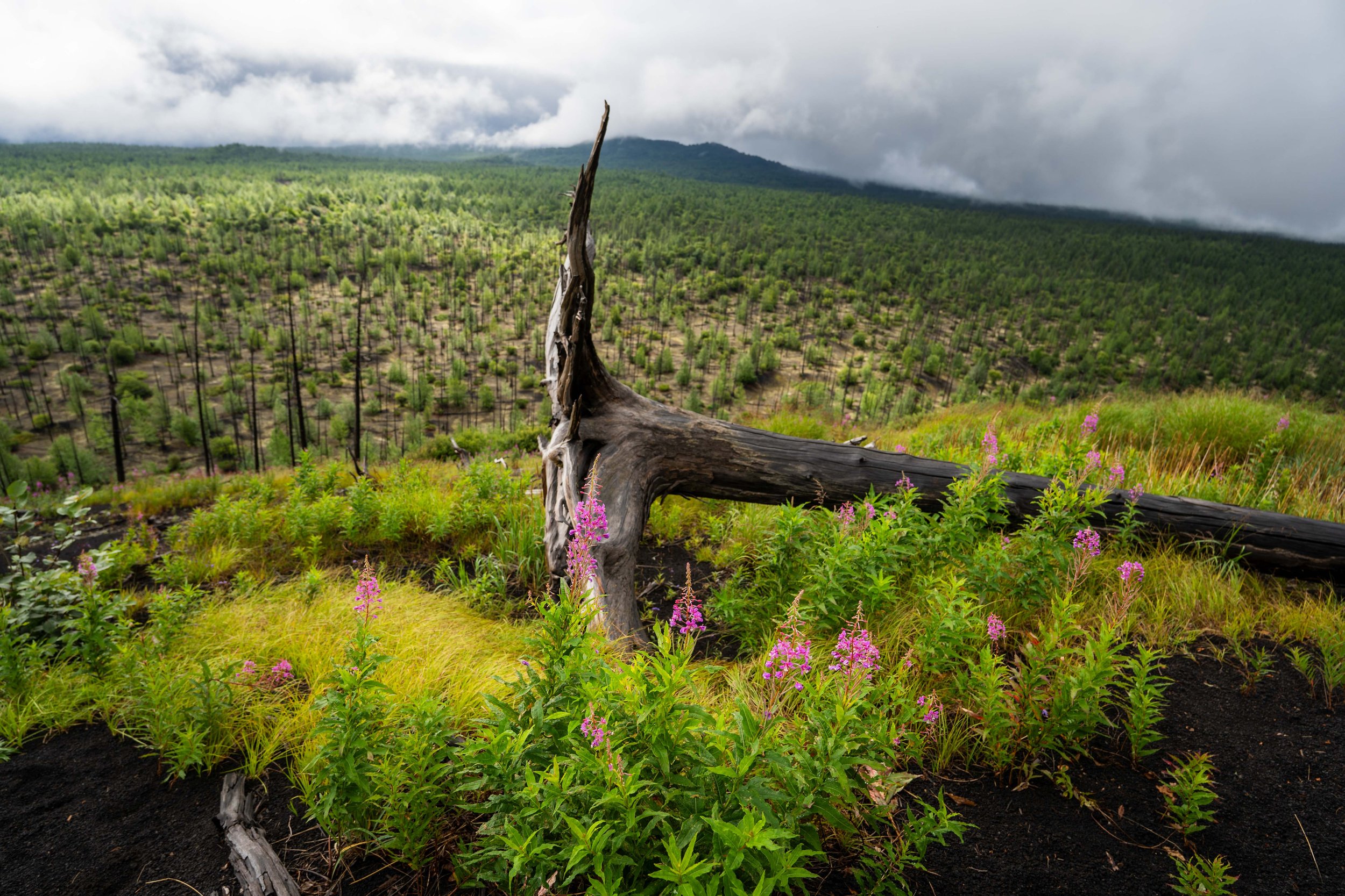 Kamchatka, Russia