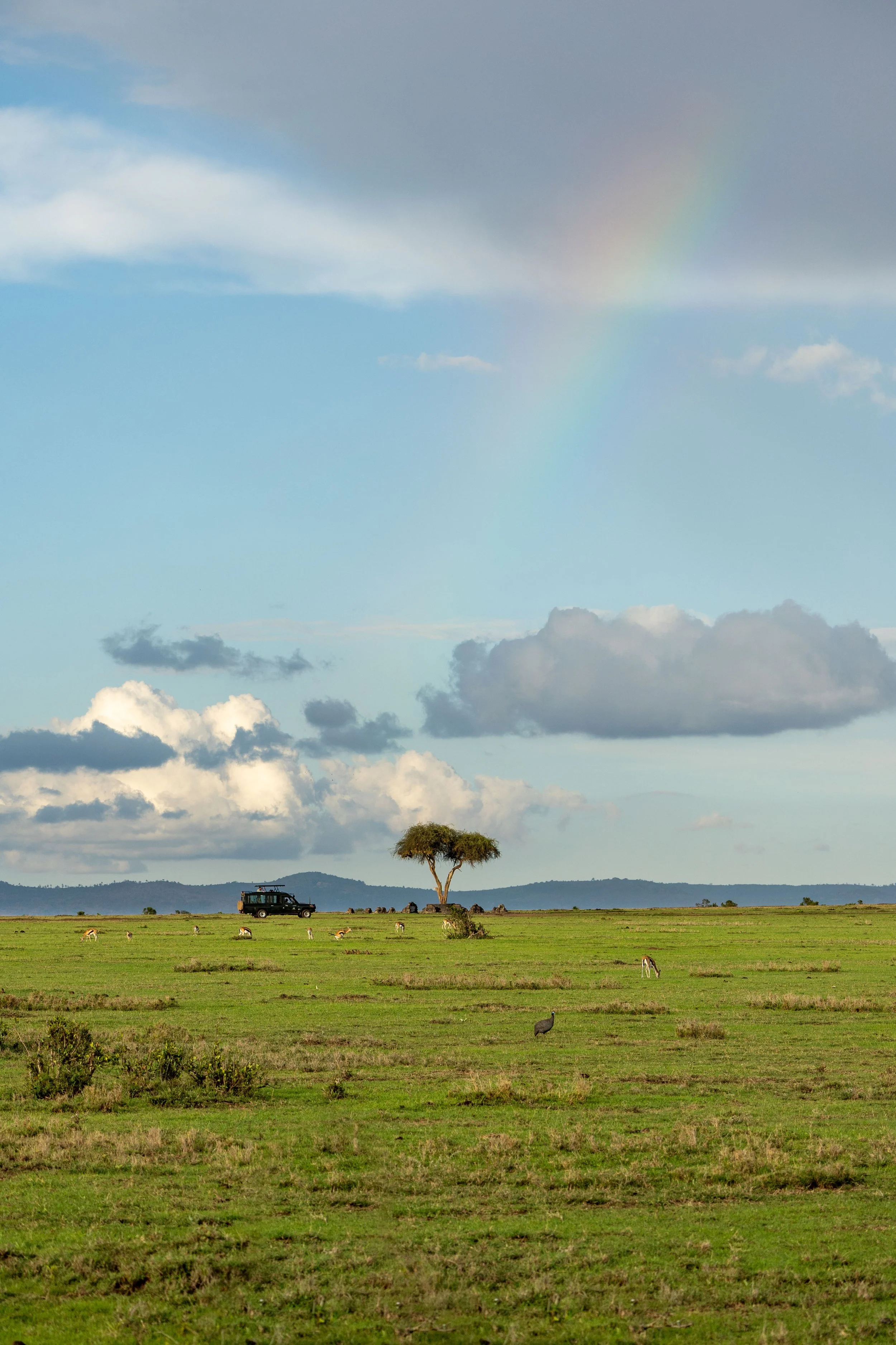 Masai Mara, Kenya