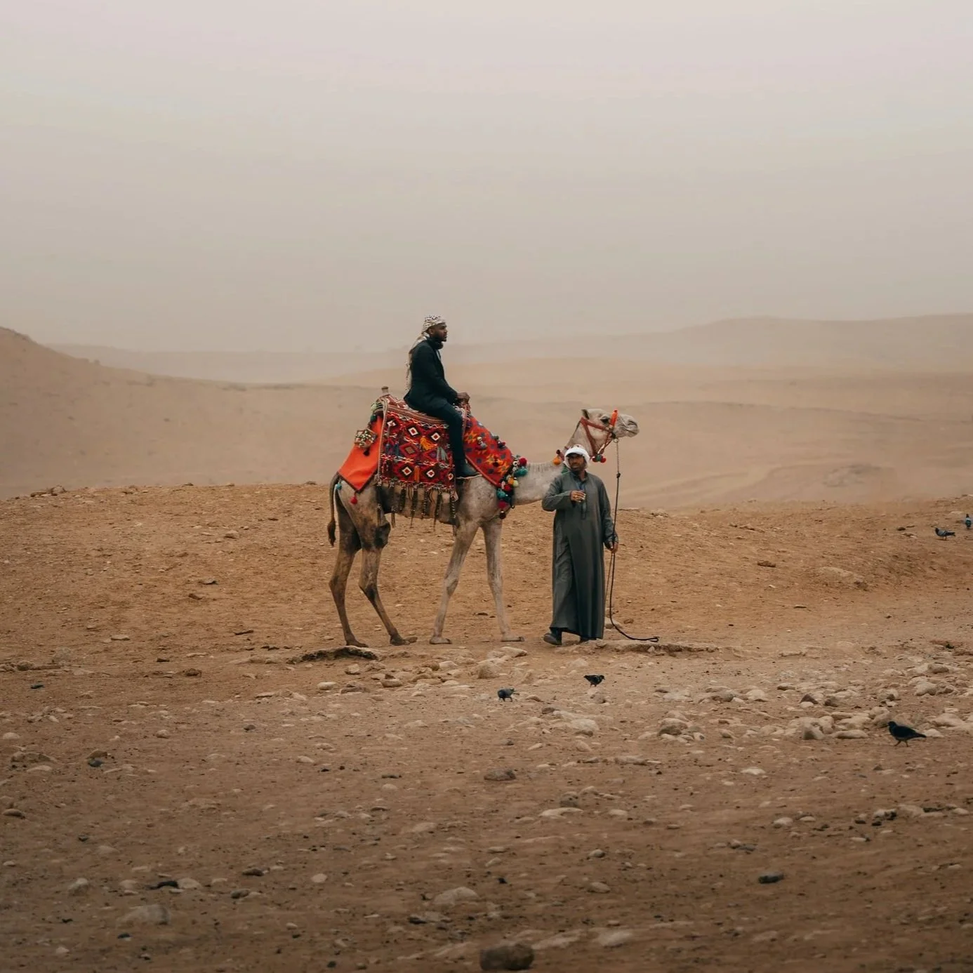 Humanistic photography  人文