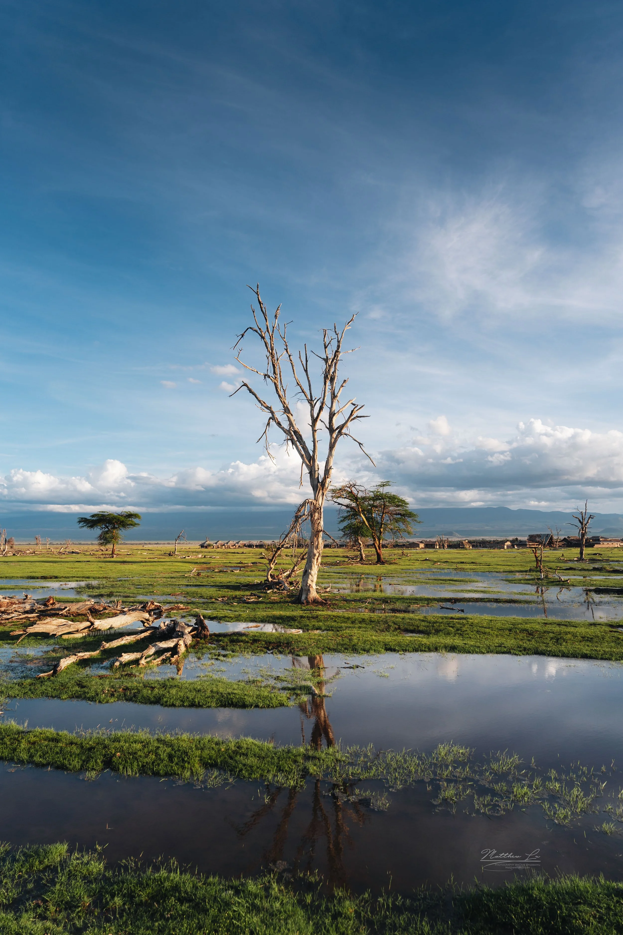 Amboseli, Kenya