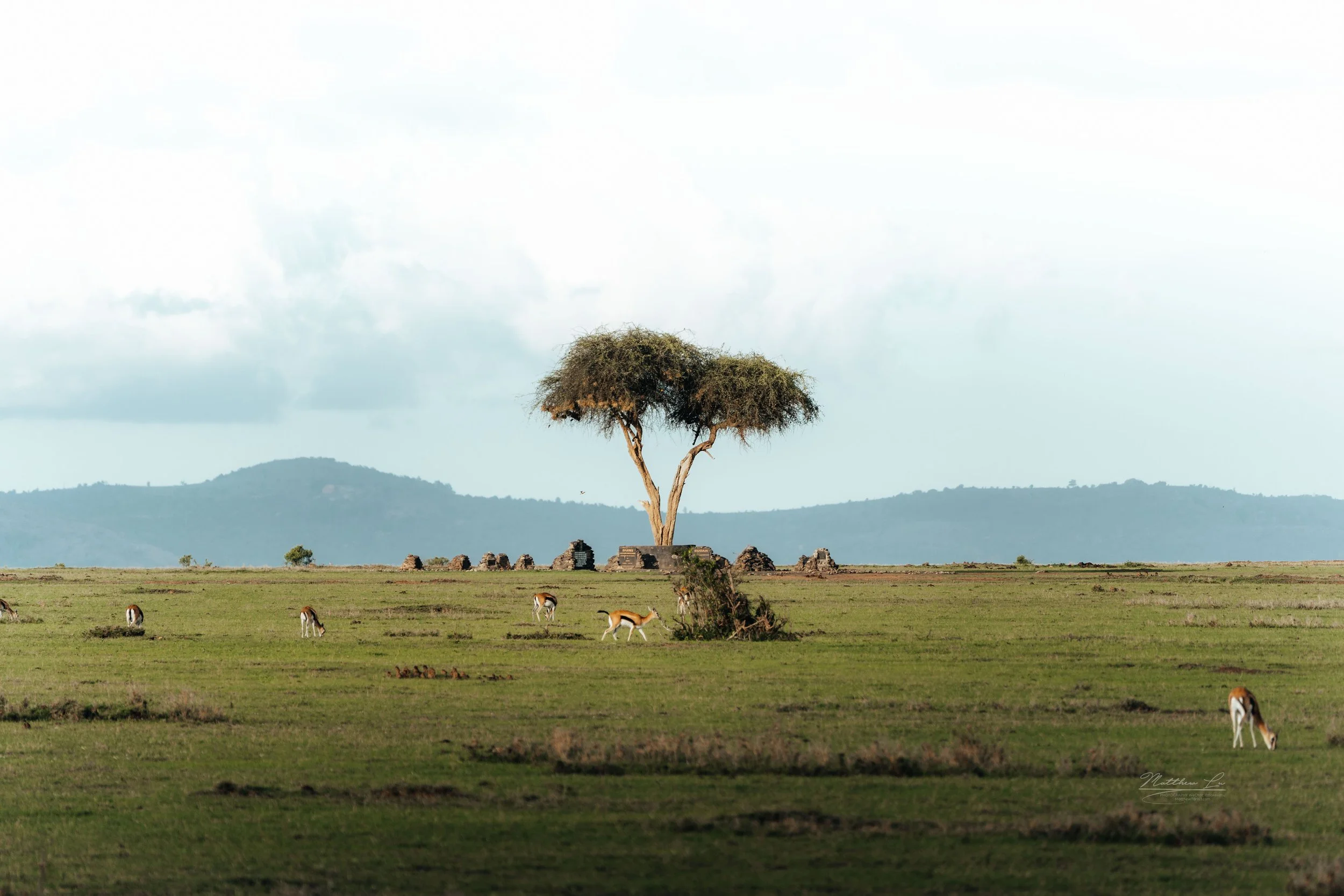 Masai Mara, Kenya