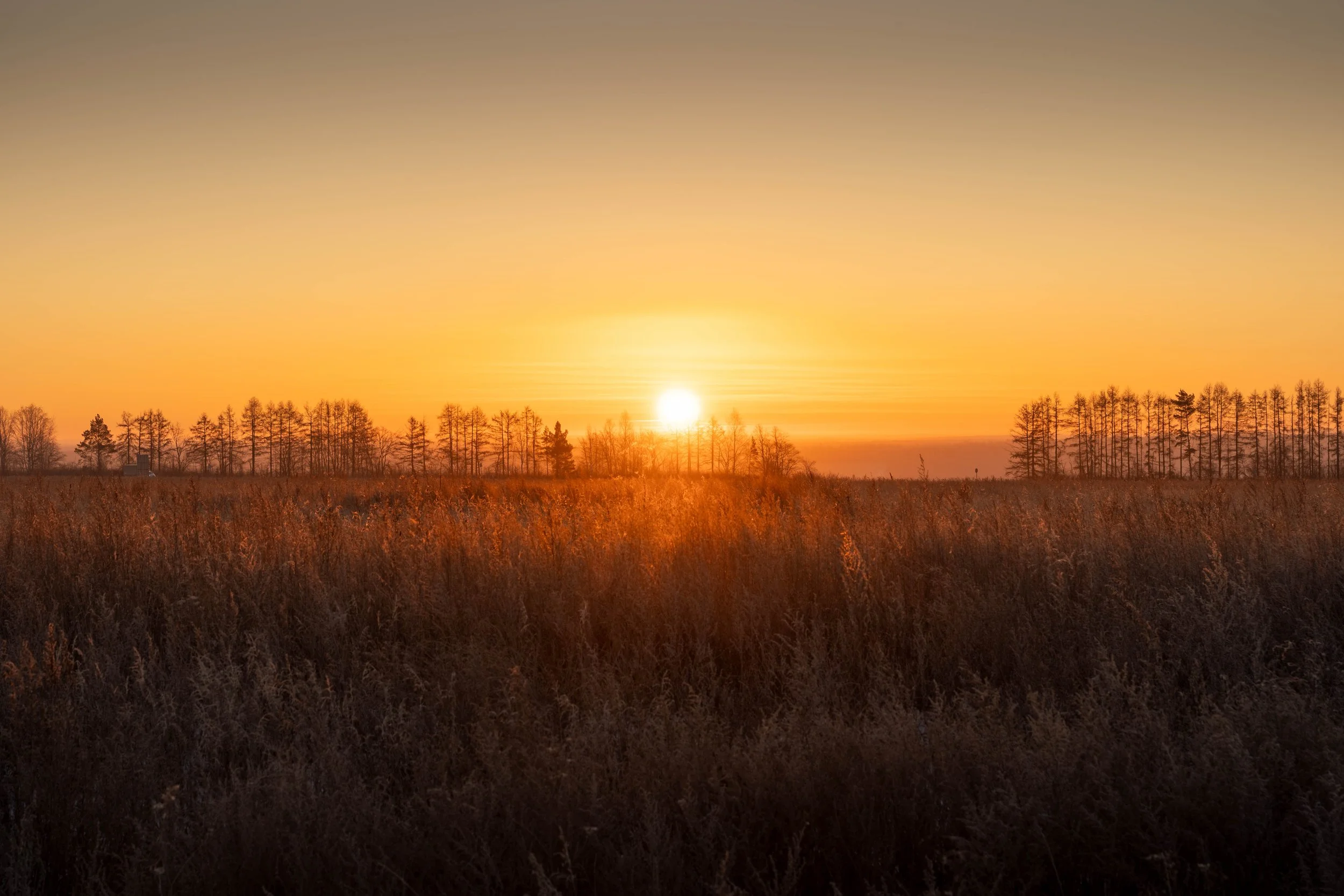 Tyumen Oblast, Russia
