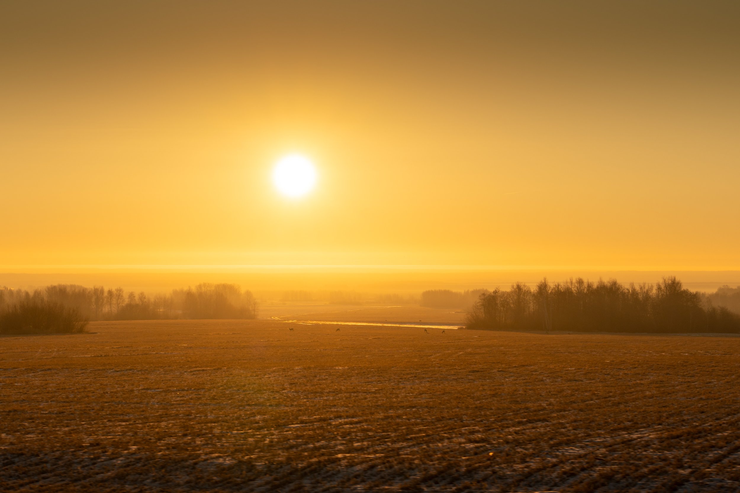 Tyumen Oblast, Russia
