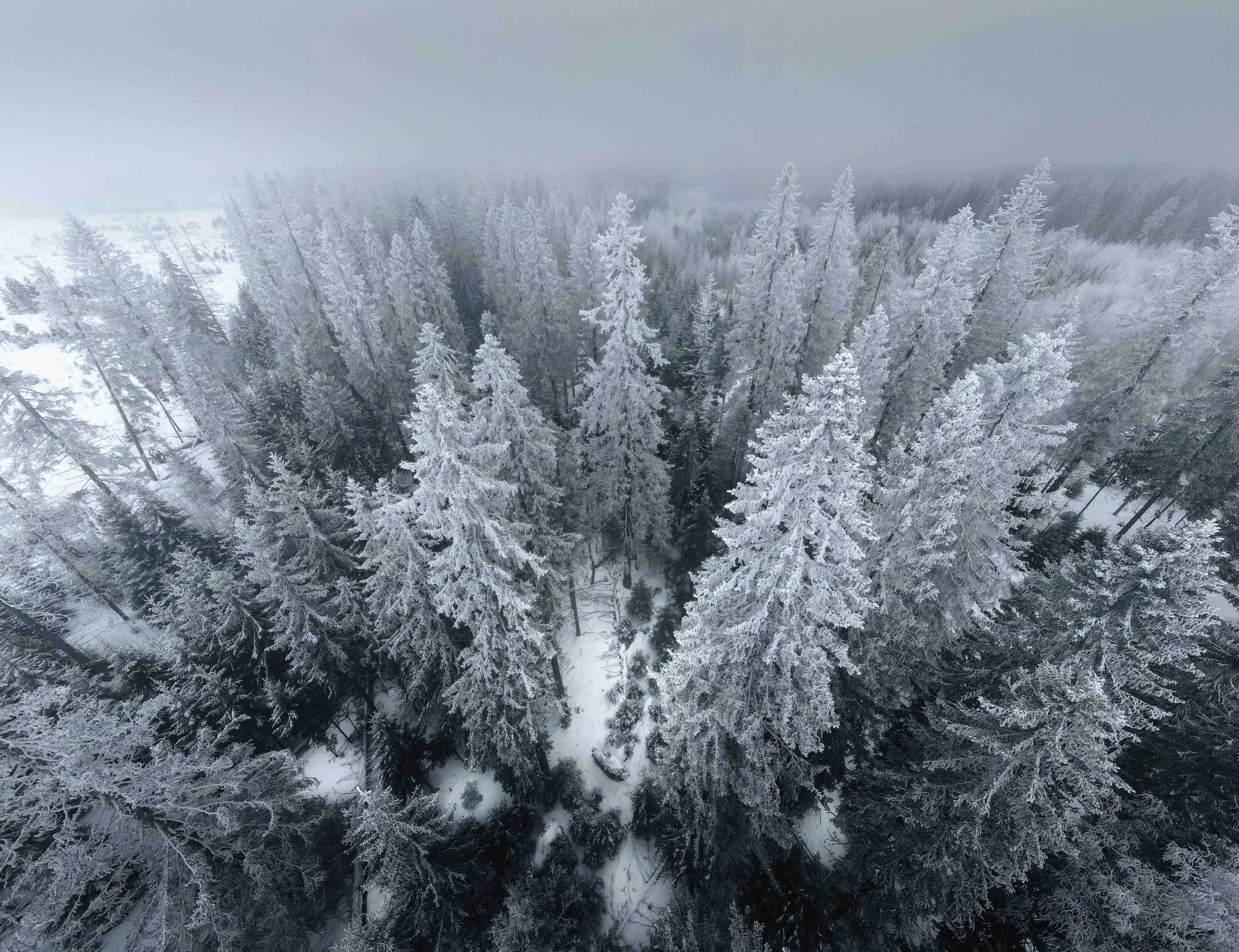 Leningrad Oblast, Russia