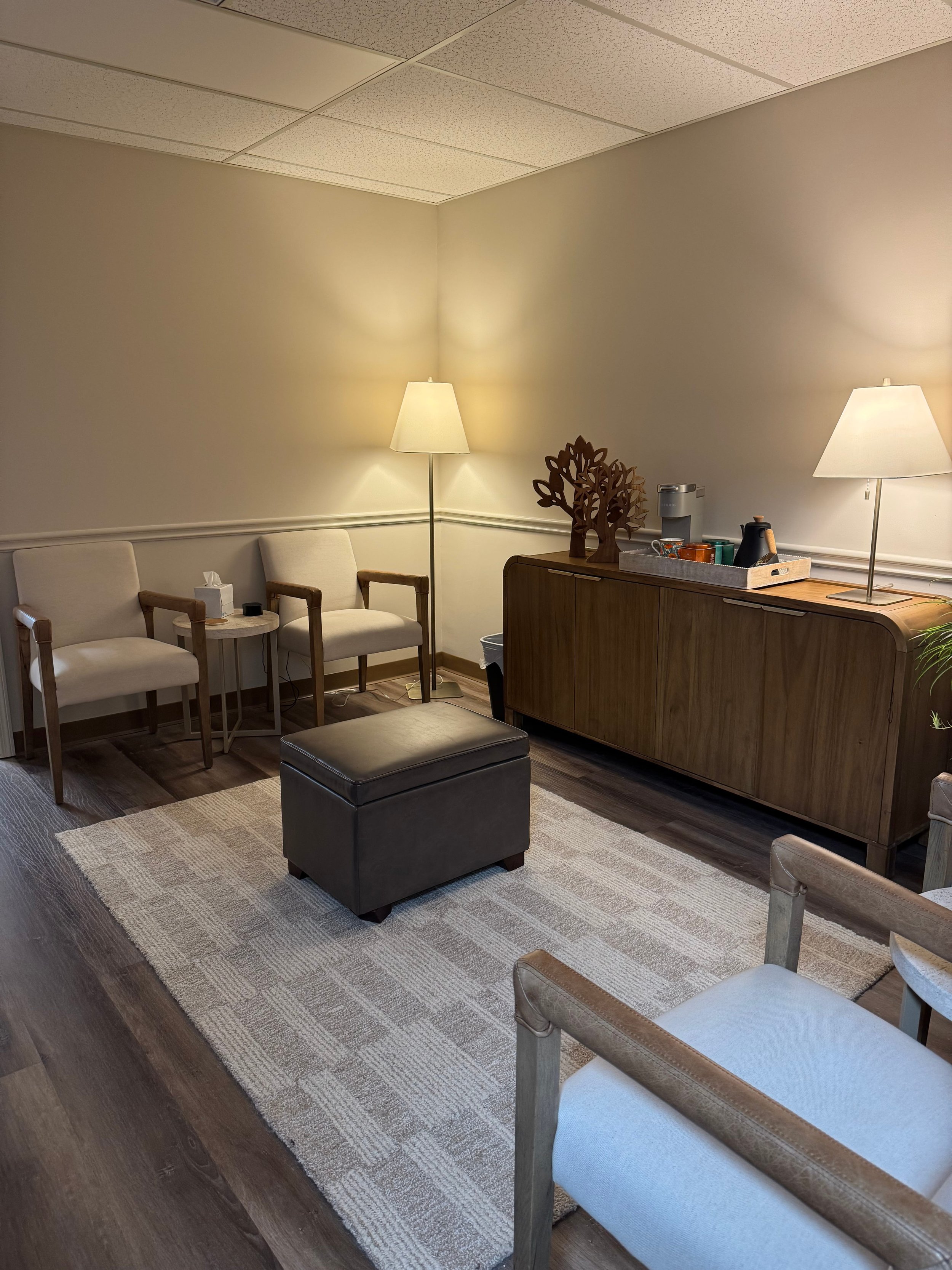 Warm counseling office with soft lighting and natural decor, creating a safe space for therapy sessions.