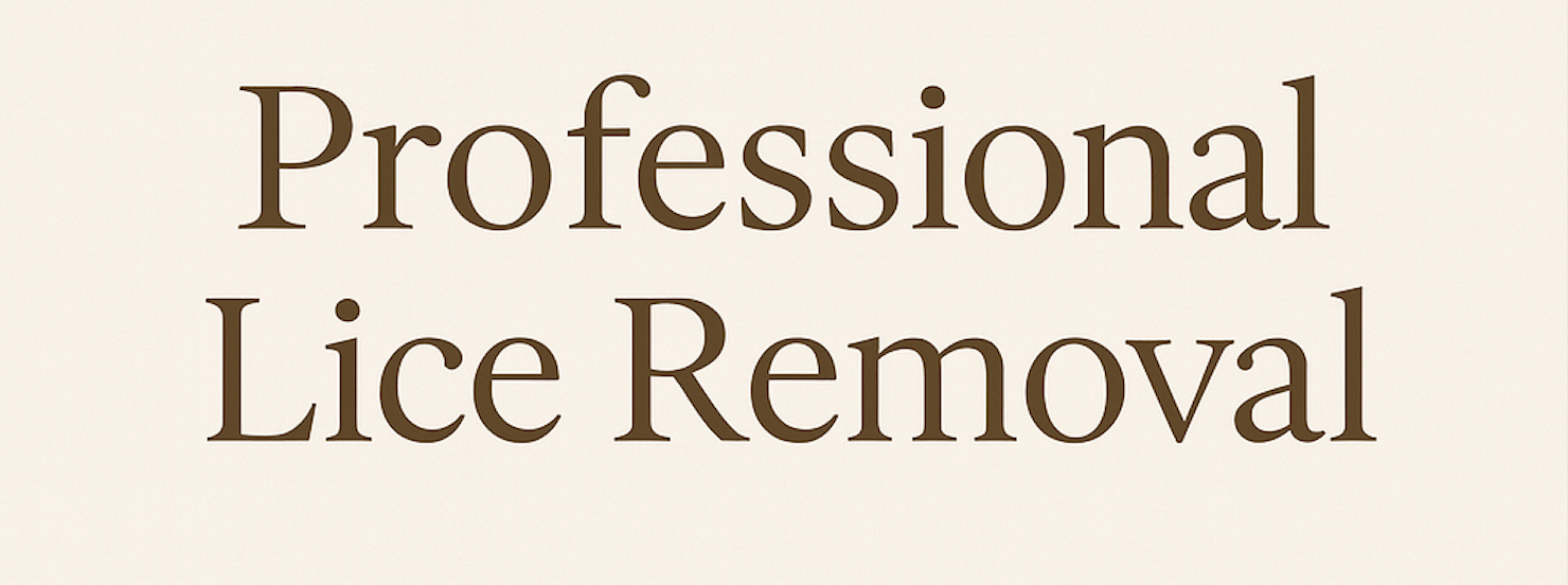 Professional Lice removal