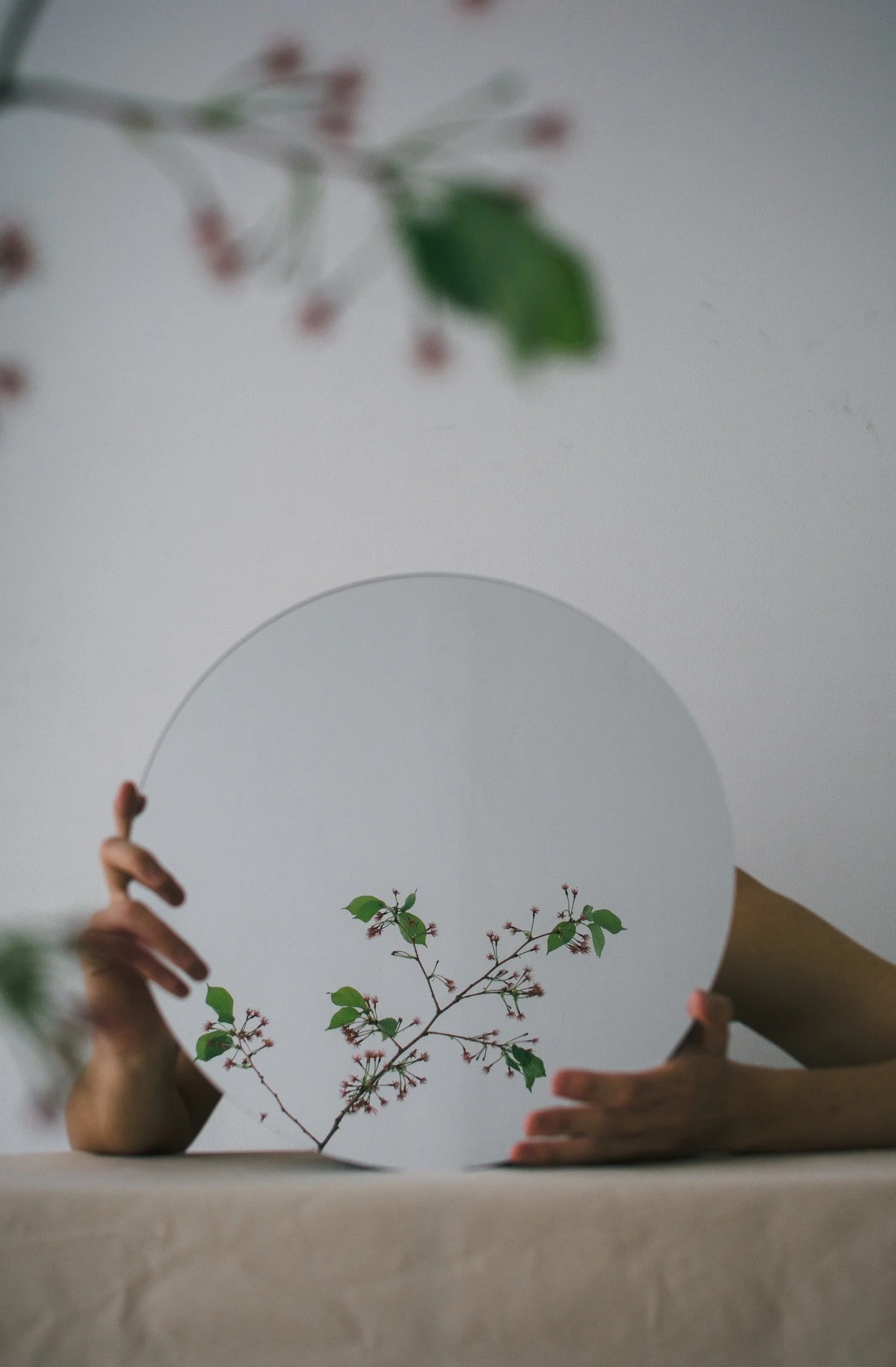 Person holding a round mirror reflecting a branch with green leaves and small flowers, with additional branches and leaves blurred in the foreground.