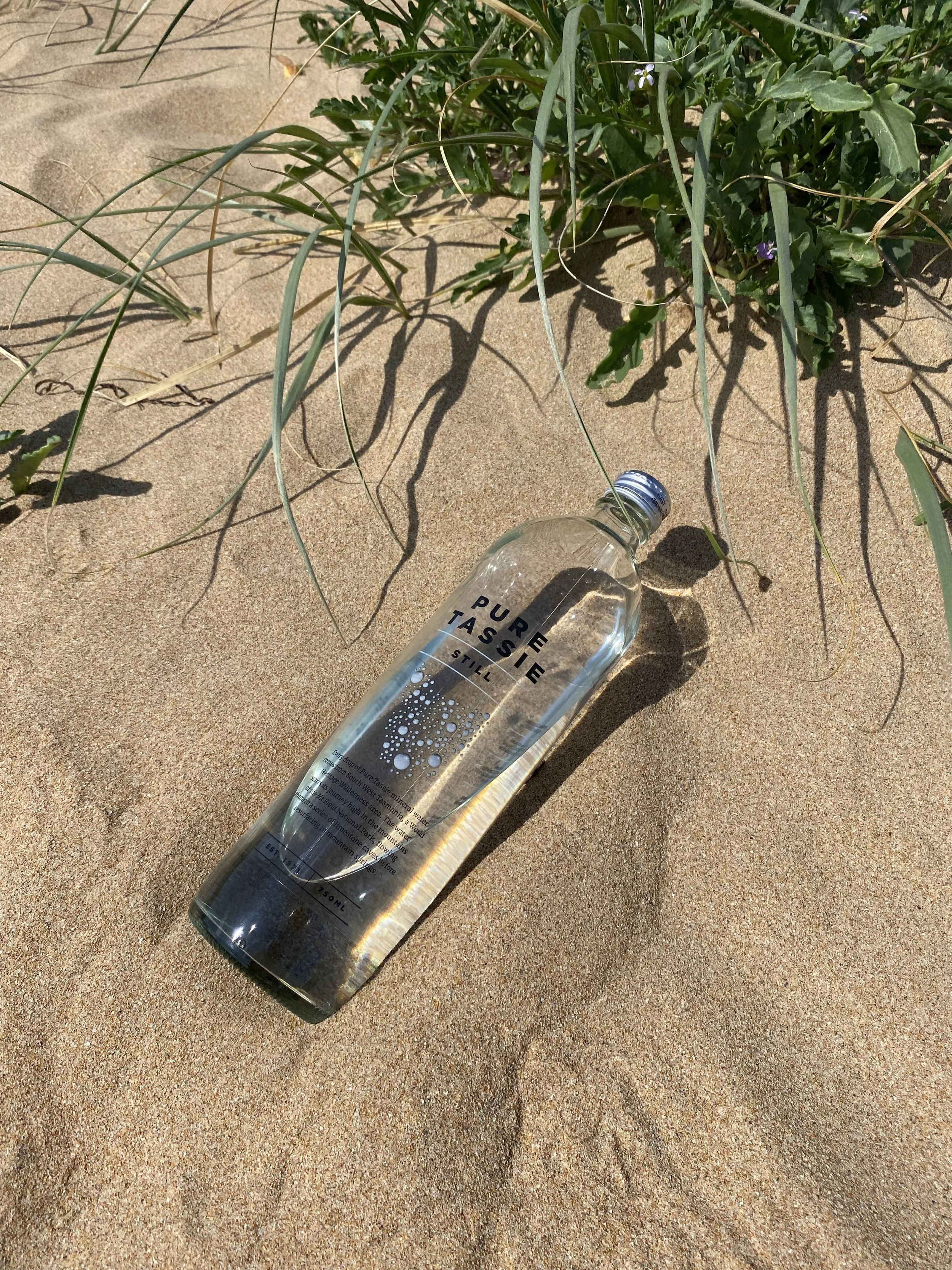 Water — Ideal choices, filtration options, how to remineralise, glass bottled spring sources.