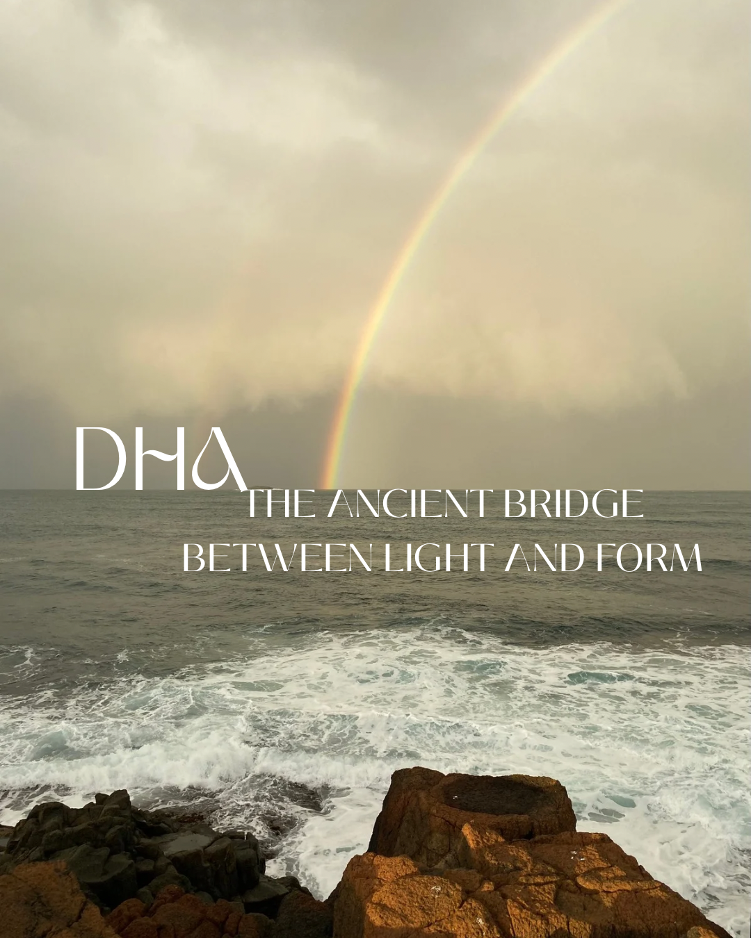 Docosahexaenoic acid – An Essential Guide