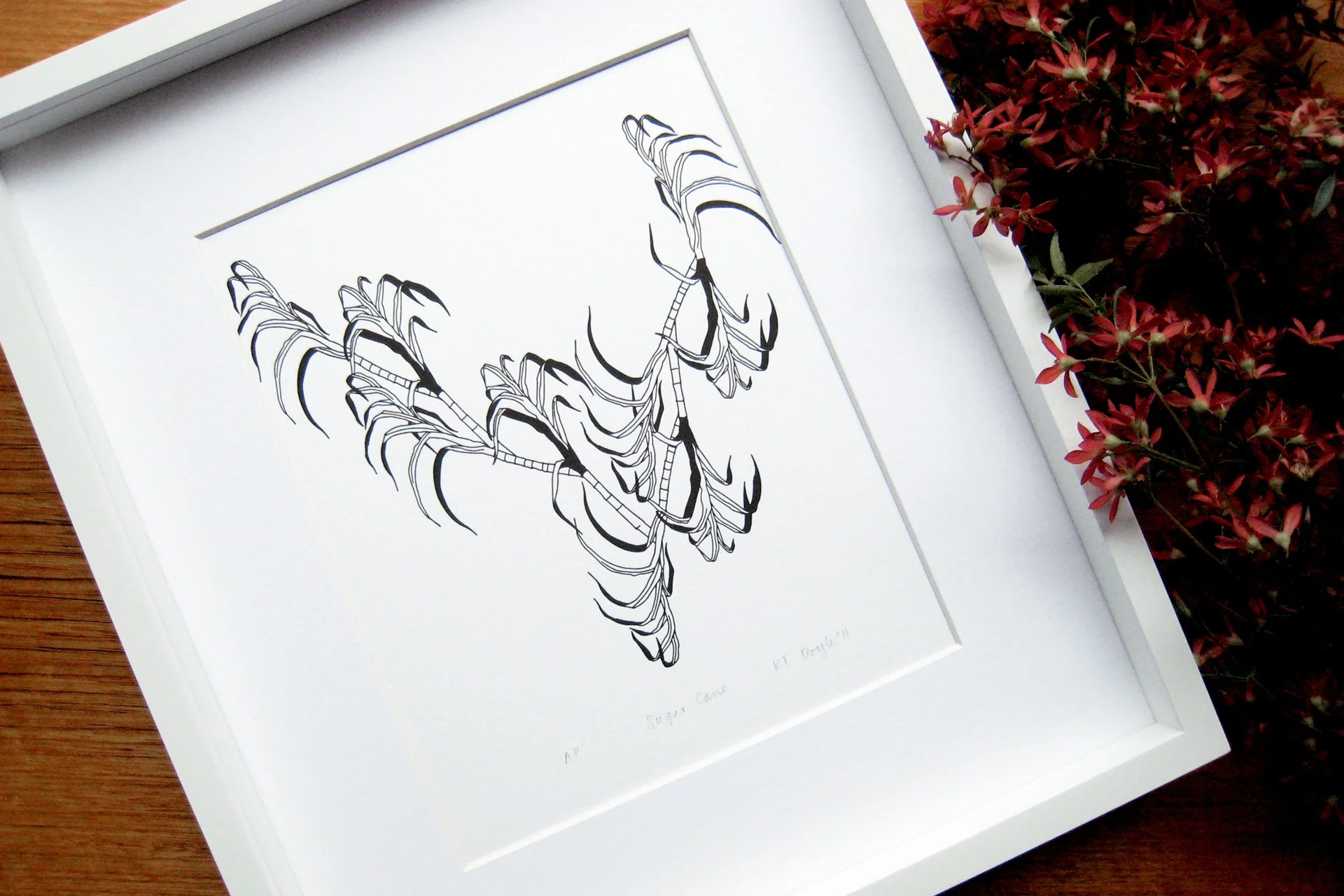 Sugar Cane—A4 Letterpress Print