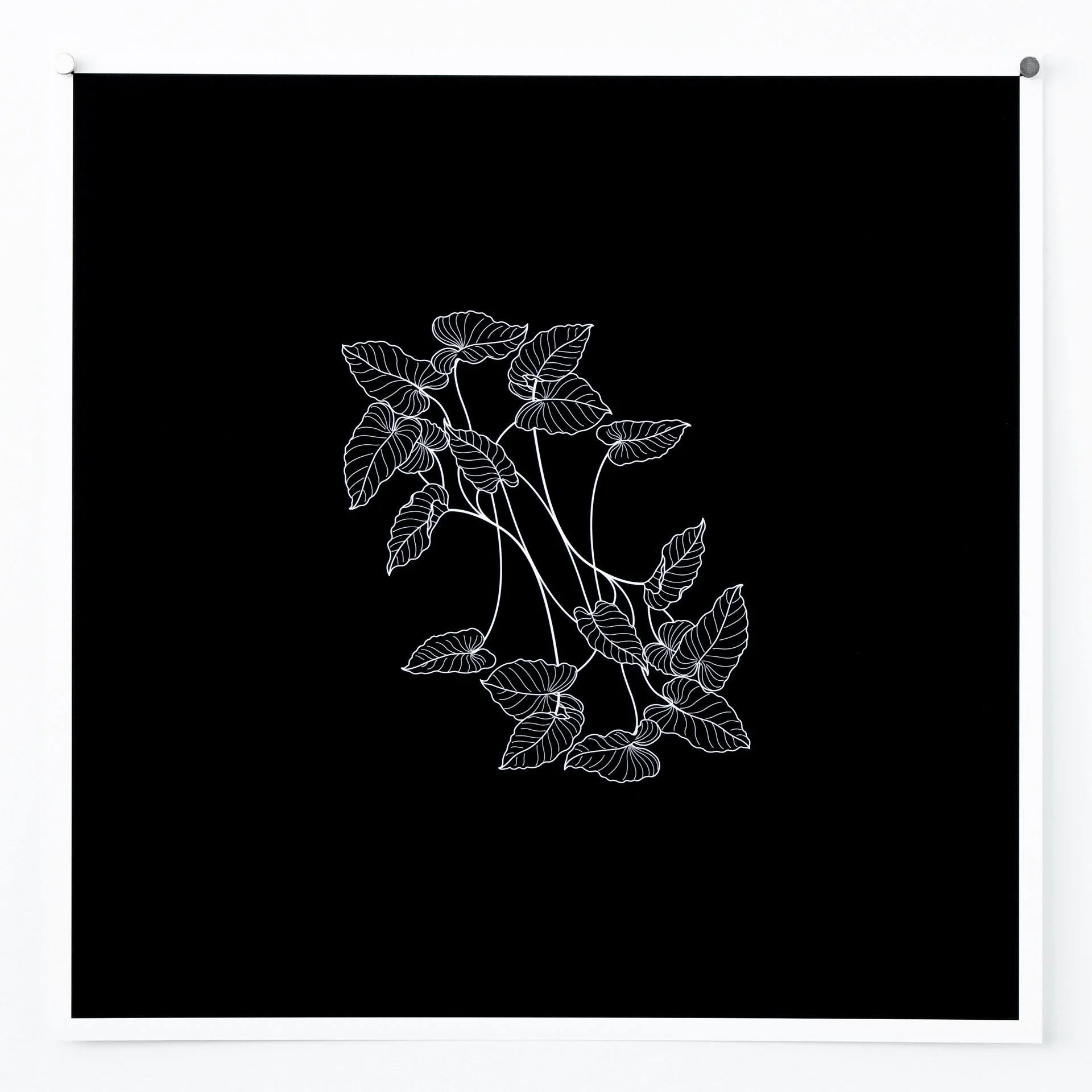 Caladium giclée print from Collected Patterns by KT Doyle, transforming the plant's distinctive heart-shaped leaves into botanical pattern