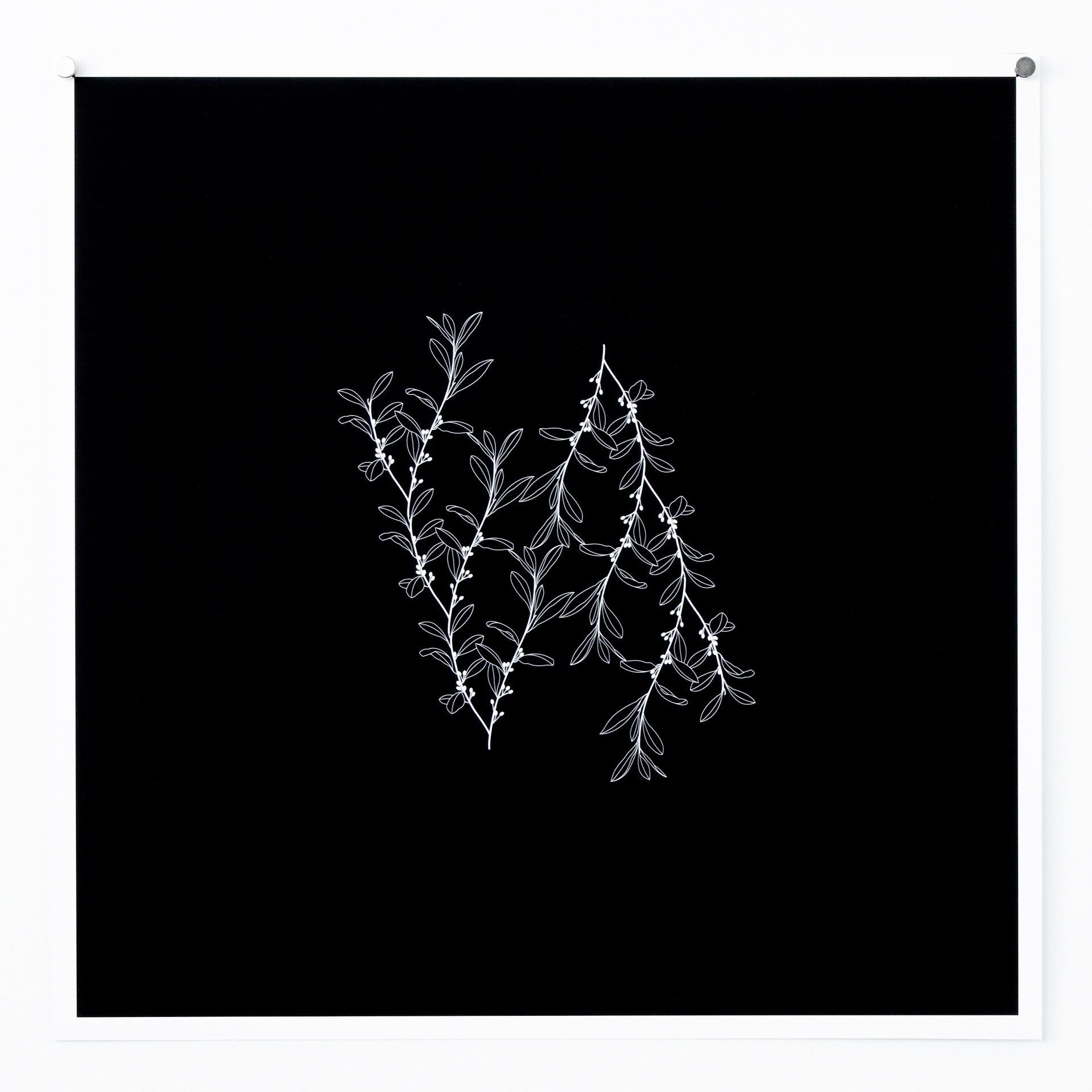 Erythroxylon Coca giclée print from Collected Patterns by KT Doyle, transforming the South American plant's leaves and stems into botanical pattern