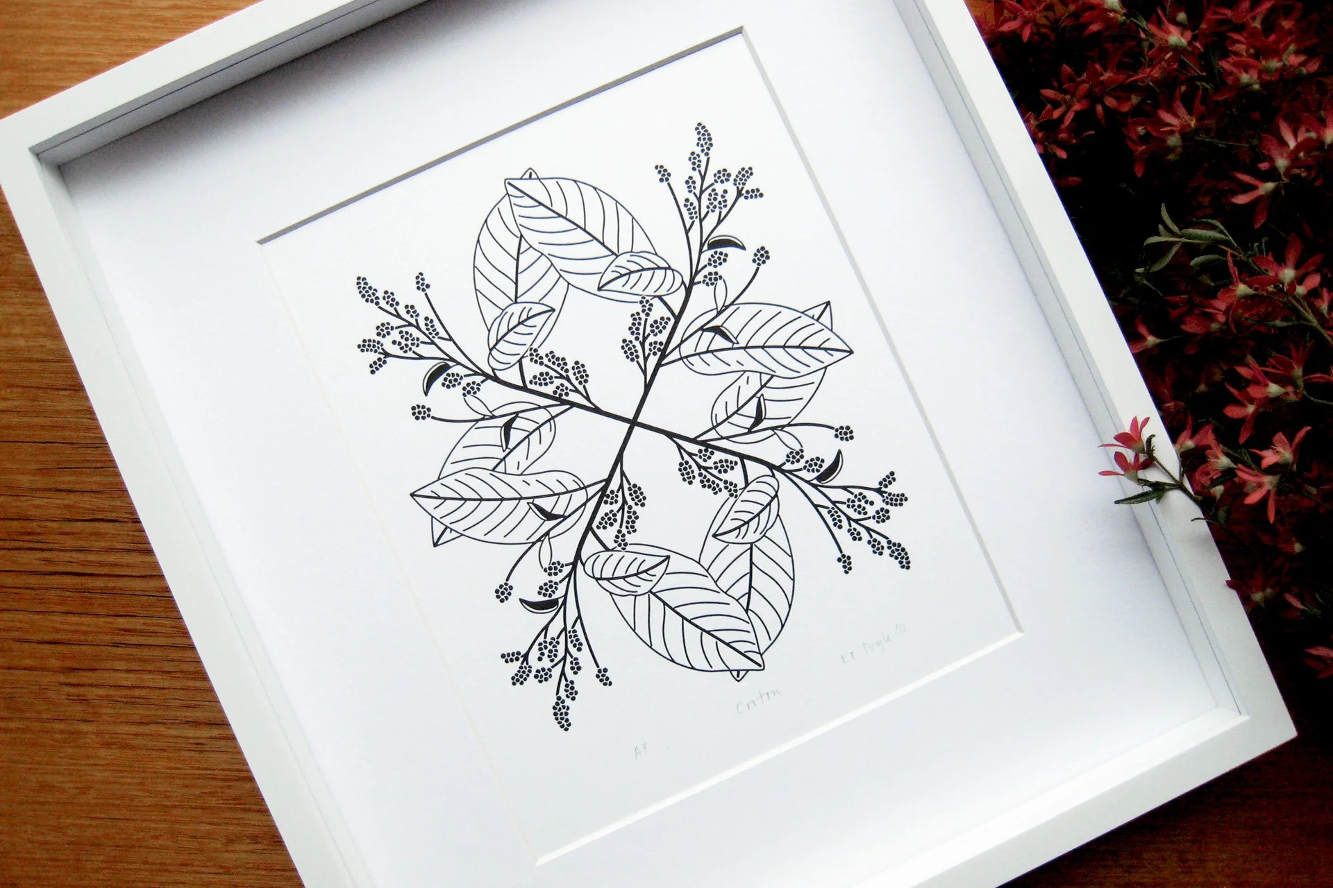 Croton