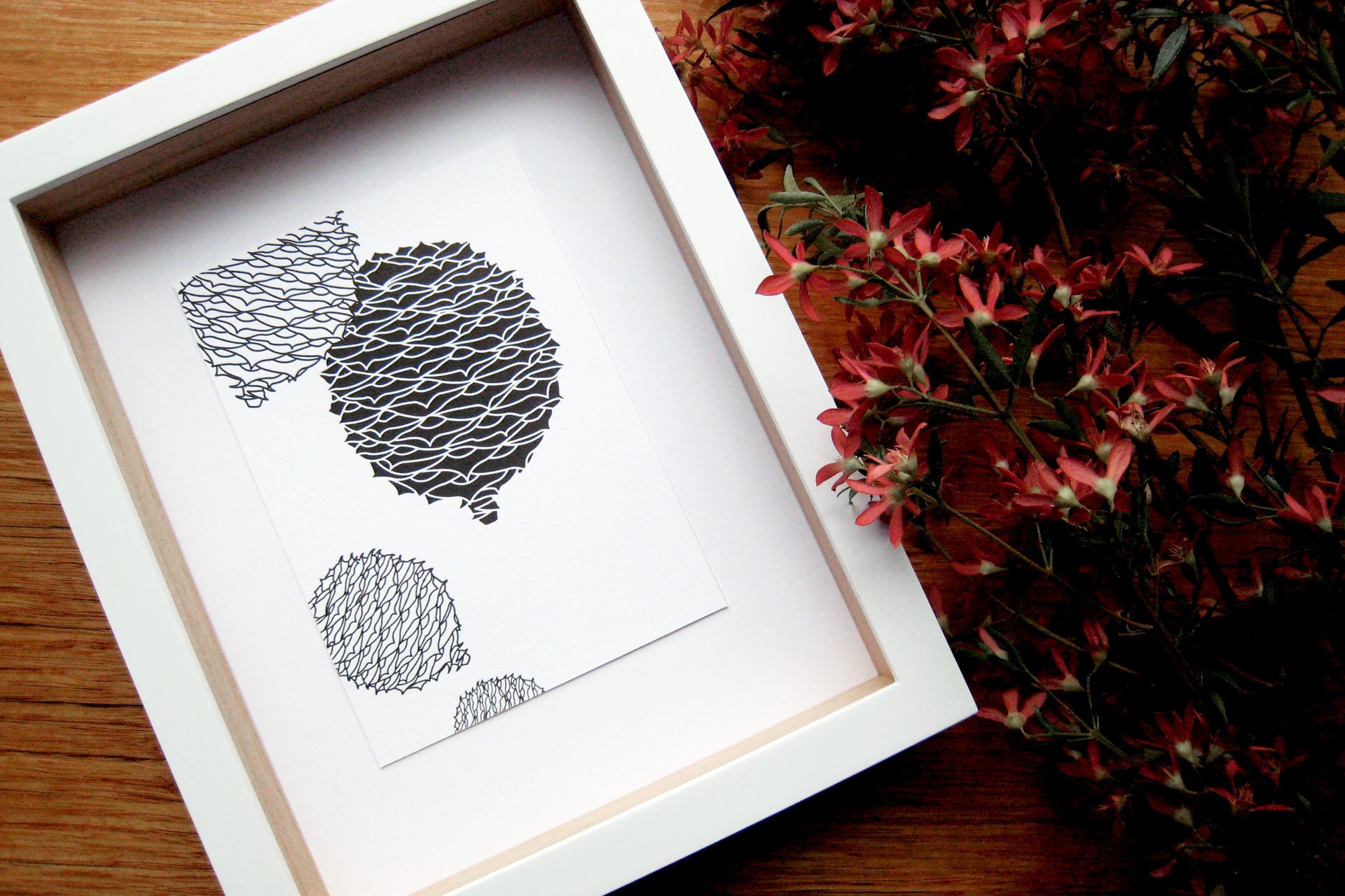 Bunya 5