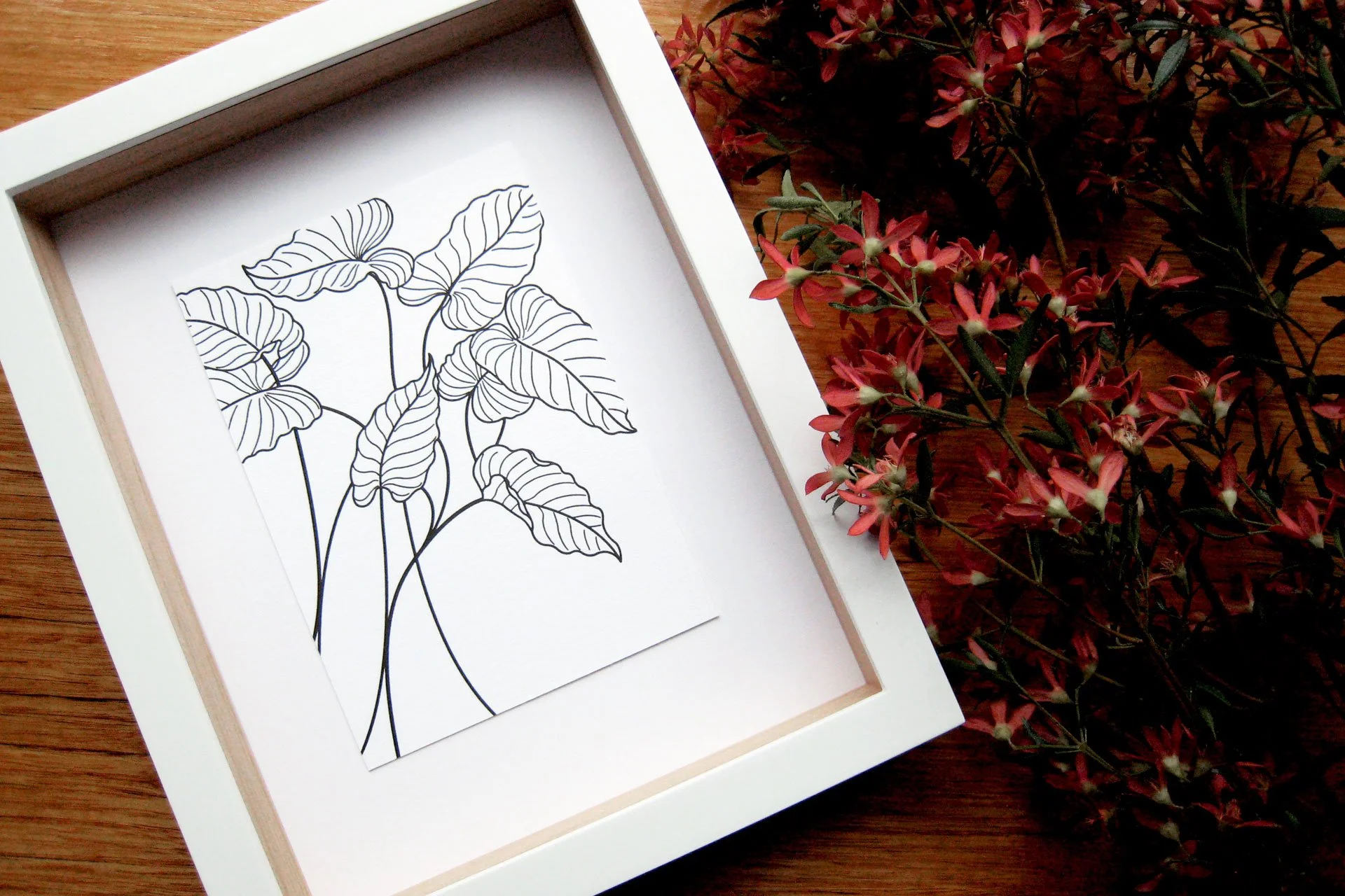 Caladium letterpress print from the Collected Patterns series by Australian artist KT Doyle, shown framed