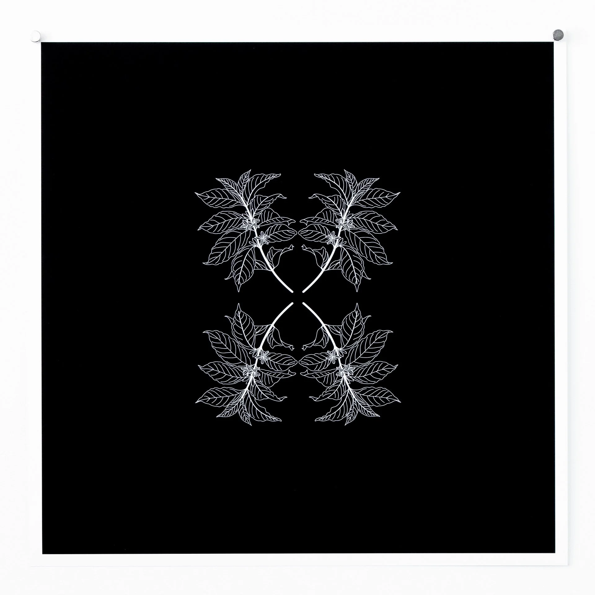 Coffea Arabica giclée print from Collected Patterns by KT Doyle, transforming the coffee plant into a repeating botanical pattern