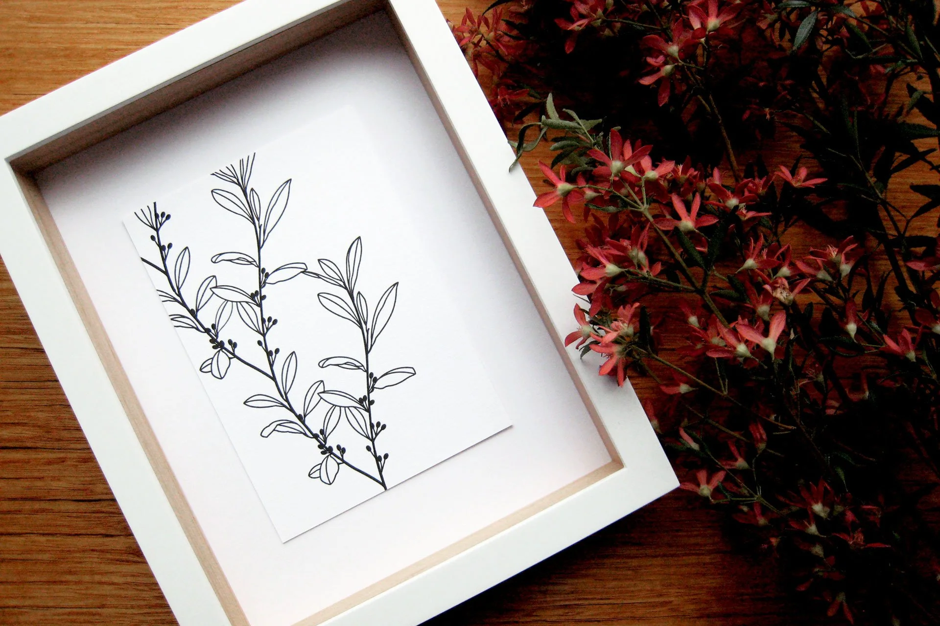 Erythroxylum Coca letterpress print from the Collected Patterns series by Australian artist KT Doyle, shown framed