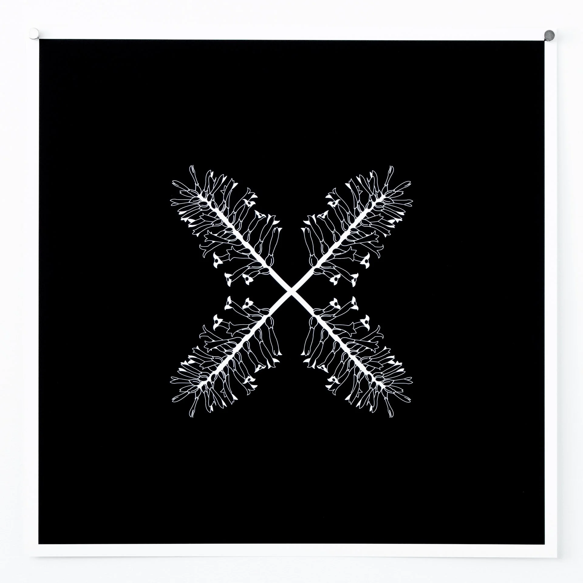 Bromeliad giclée print from Collected Patterns by KT Doyle, transforming the botanical form of a Bromeliad through repetition and pattern