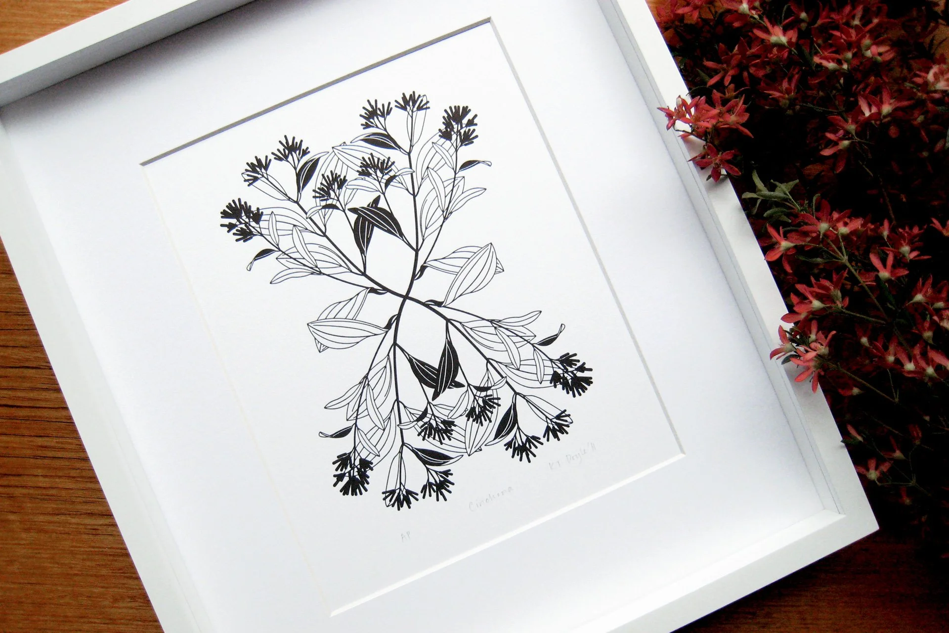 Cinchona—A4 Letterpress Print