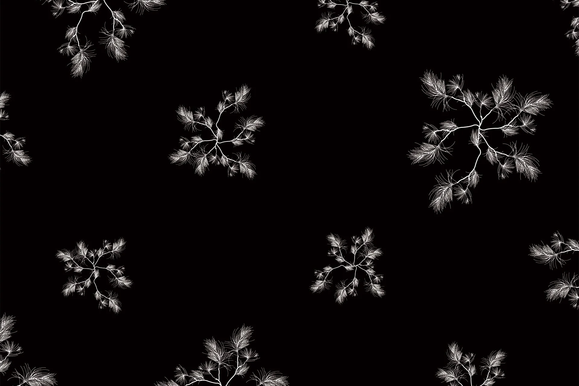 Detail of Casuarina Sateen by KT Doyle showing delicate white Casuarina branches repeated across a black grounds