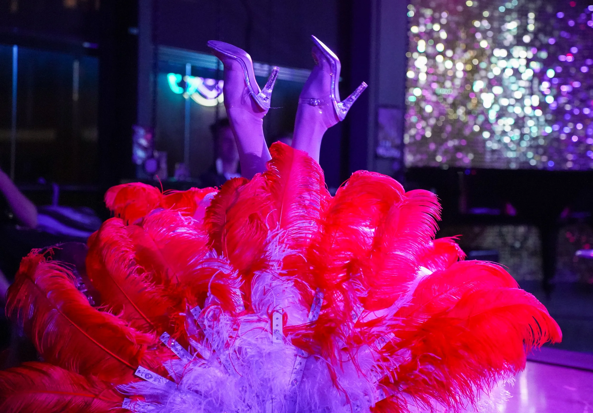 Colorful display featuring a large bouquet of bright red and pink feathers with transparent high-heeled shoes resting among the feathers, illuminated by purple and pink lighting, and a background of multicolored blurry lights.