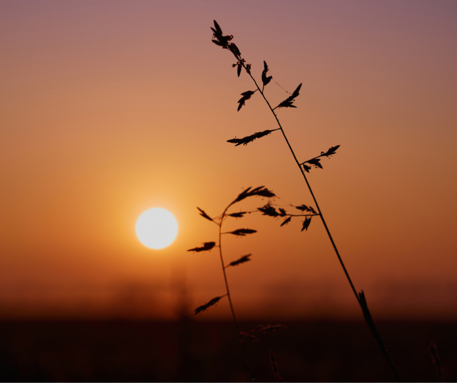 The Quiet Work of Leadership