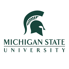 MSU.png