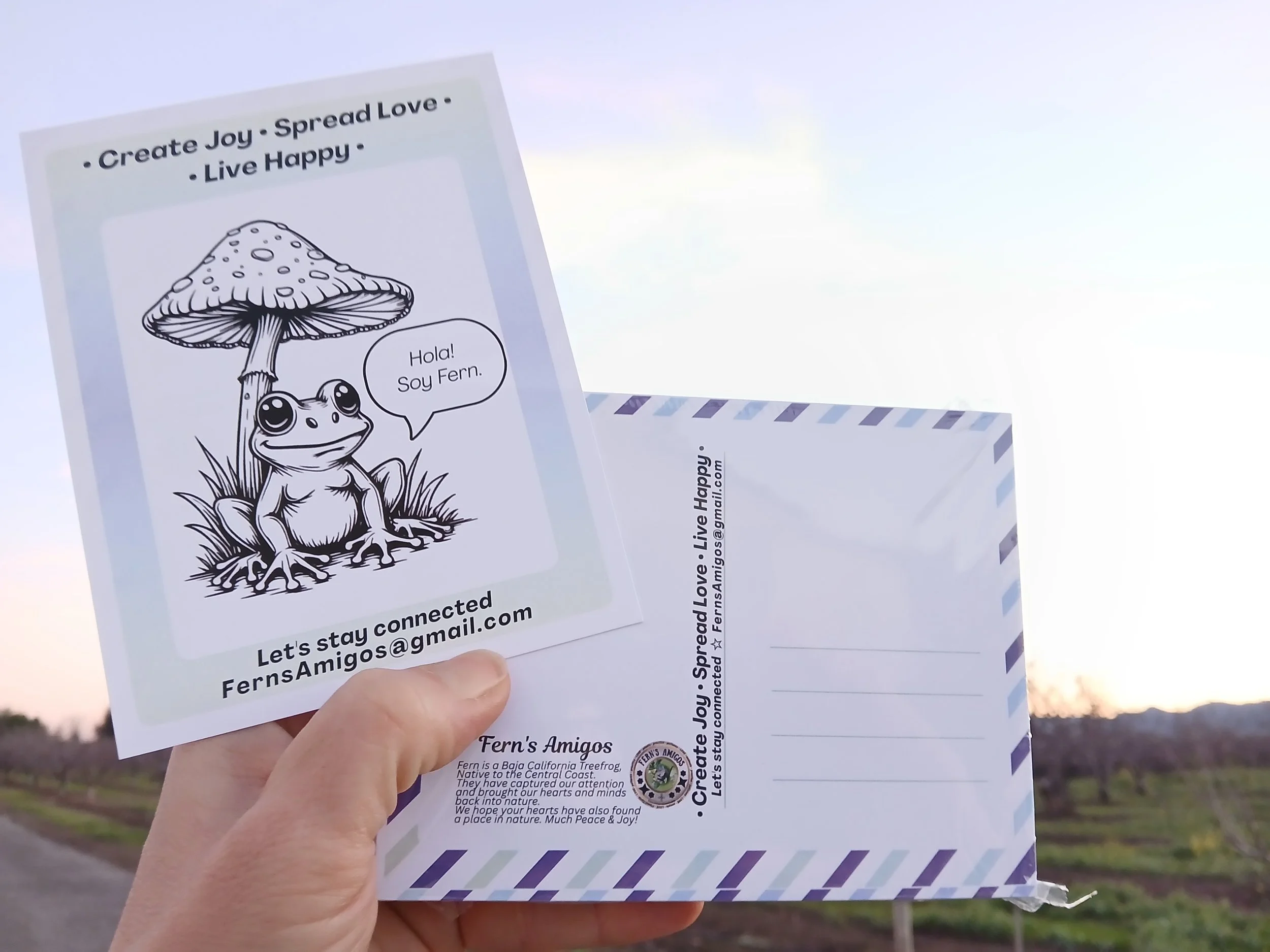 Fern's Amigos Treefrog Postcards