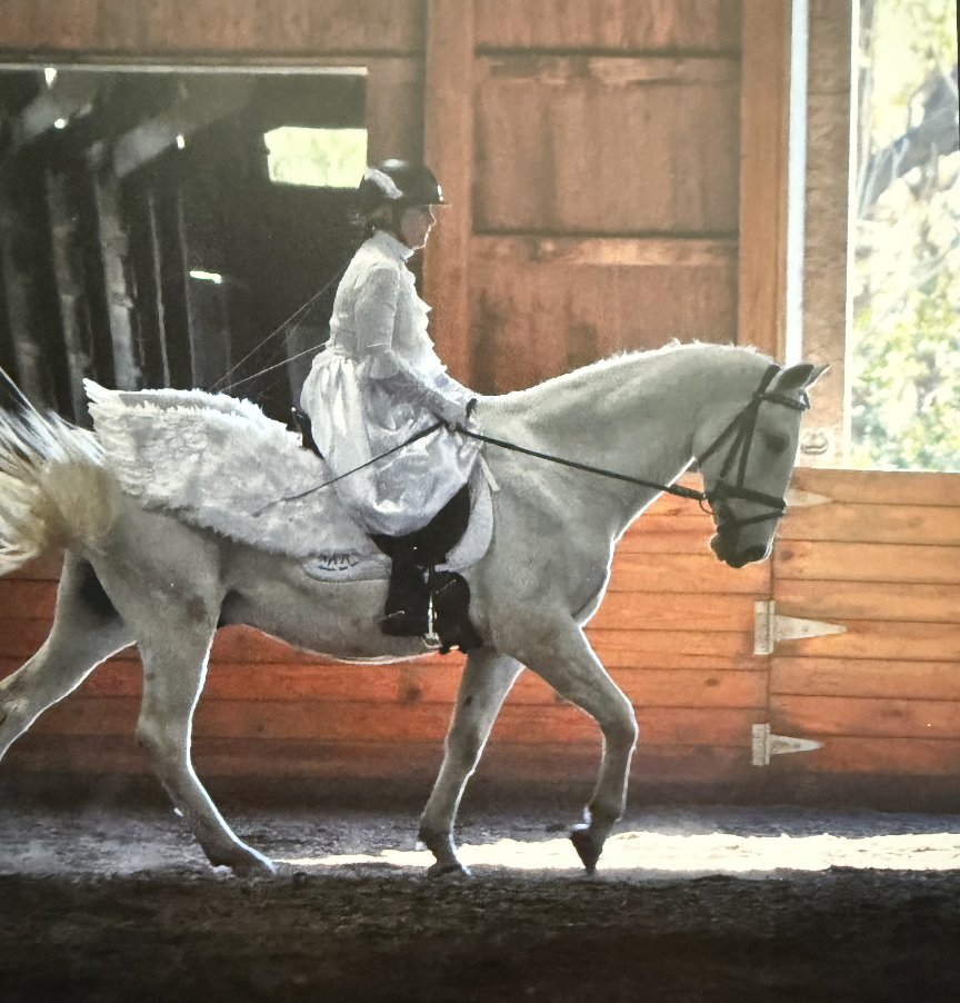 A woman dressed in vintage riding attire riding a white horse inside an indoor riding arena with wooden walls and a window showing outdoor trees.