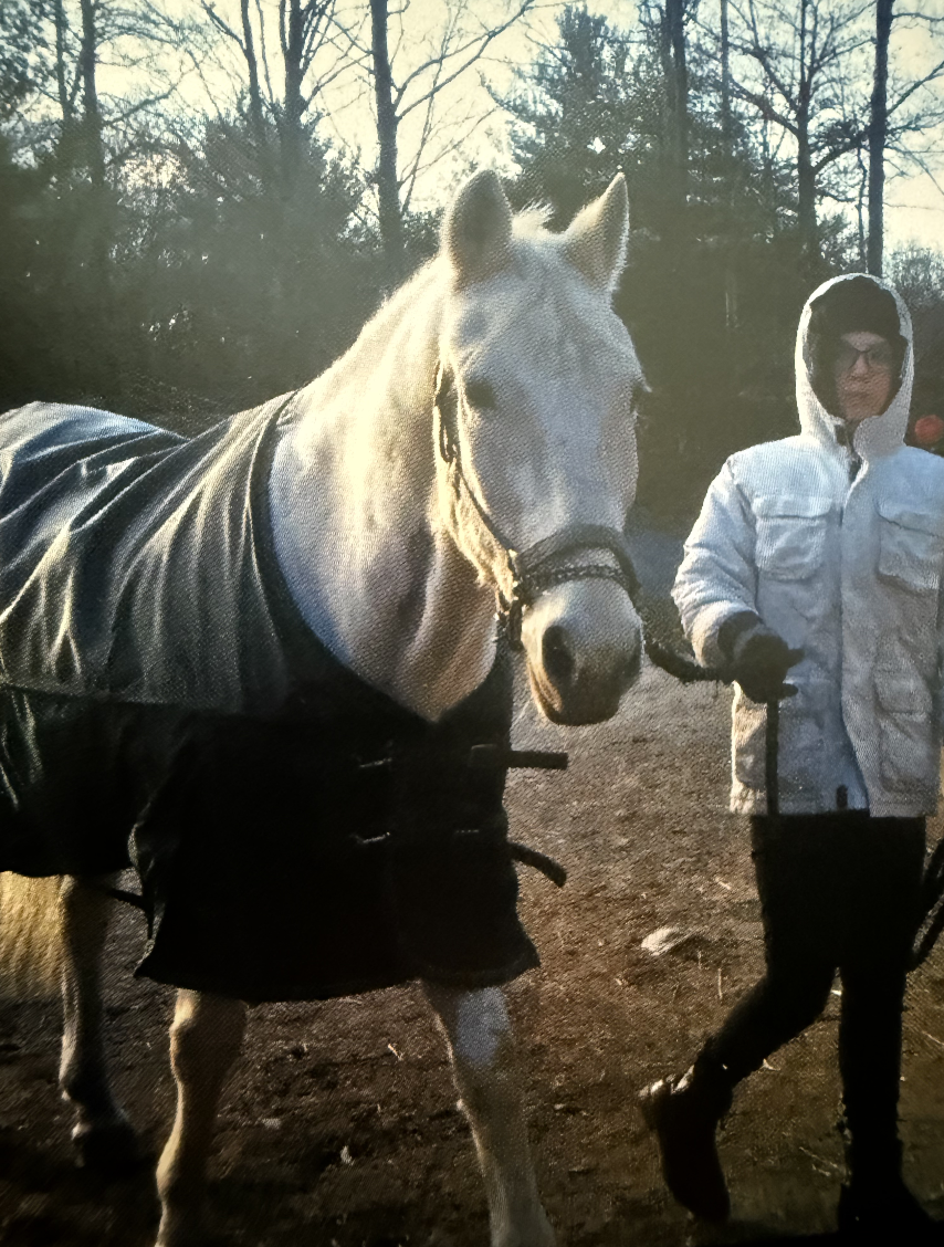 A person holding a white horse by a lead in a wooded outdoor area during daylight.