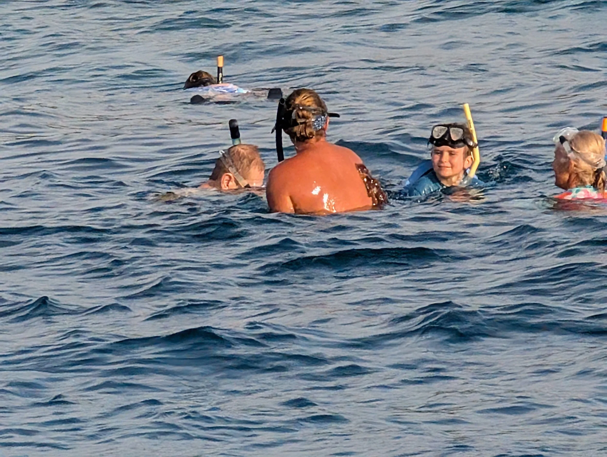 SBH checking out the octopus