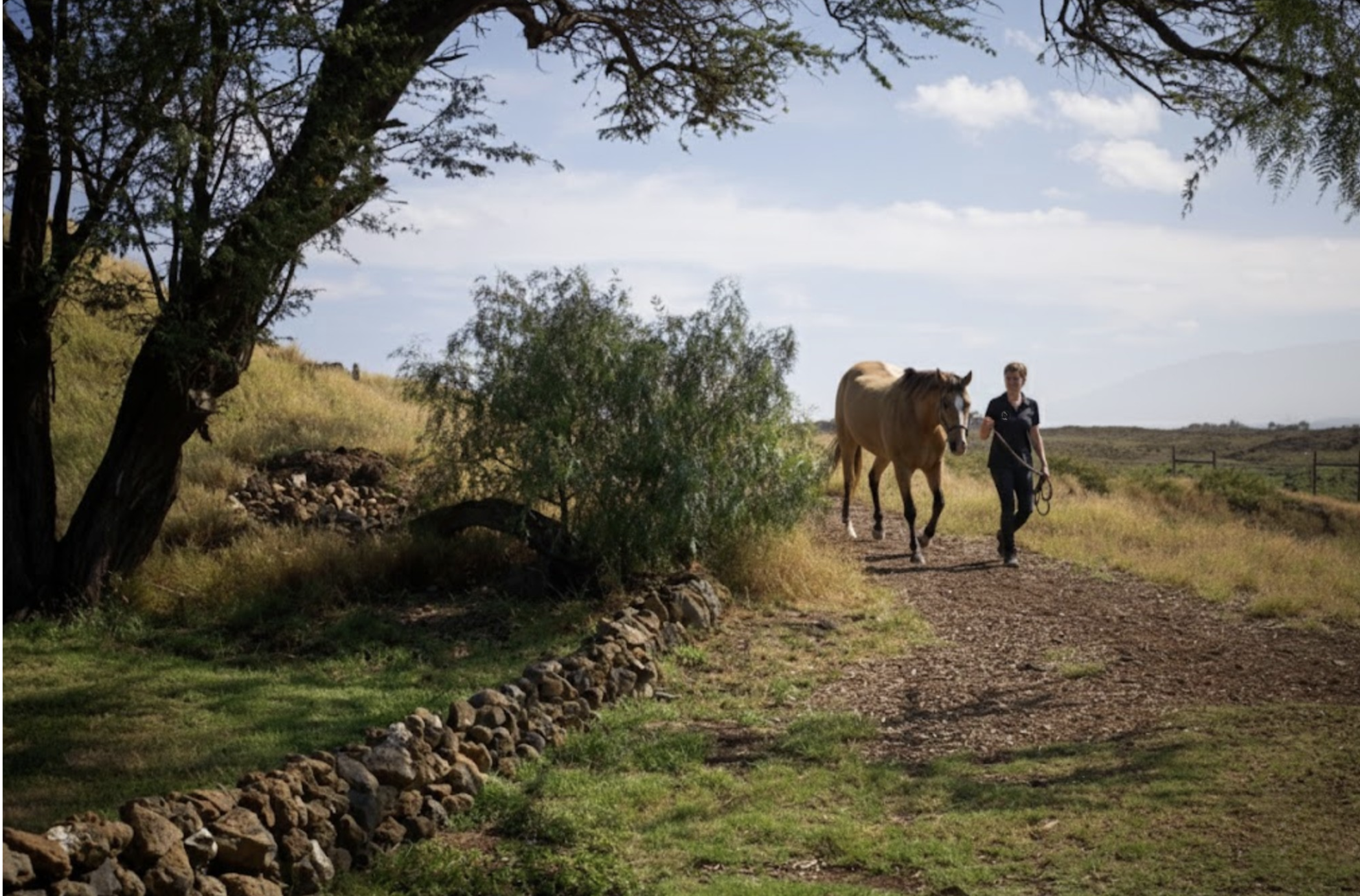 A person leading a horse along a dirt trail in a rural landscape with trees, grass, and a partly cloudy sky.