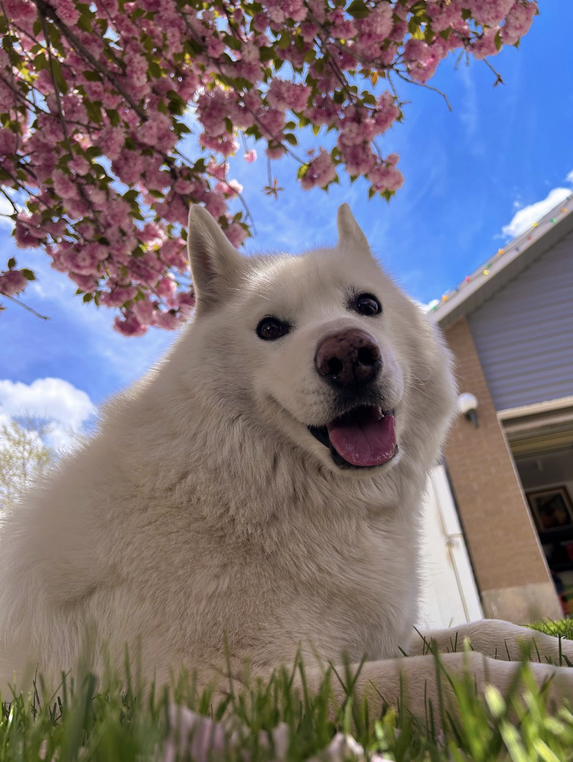 Screenshot 2026-01-17 at 11.34.05 AM.png