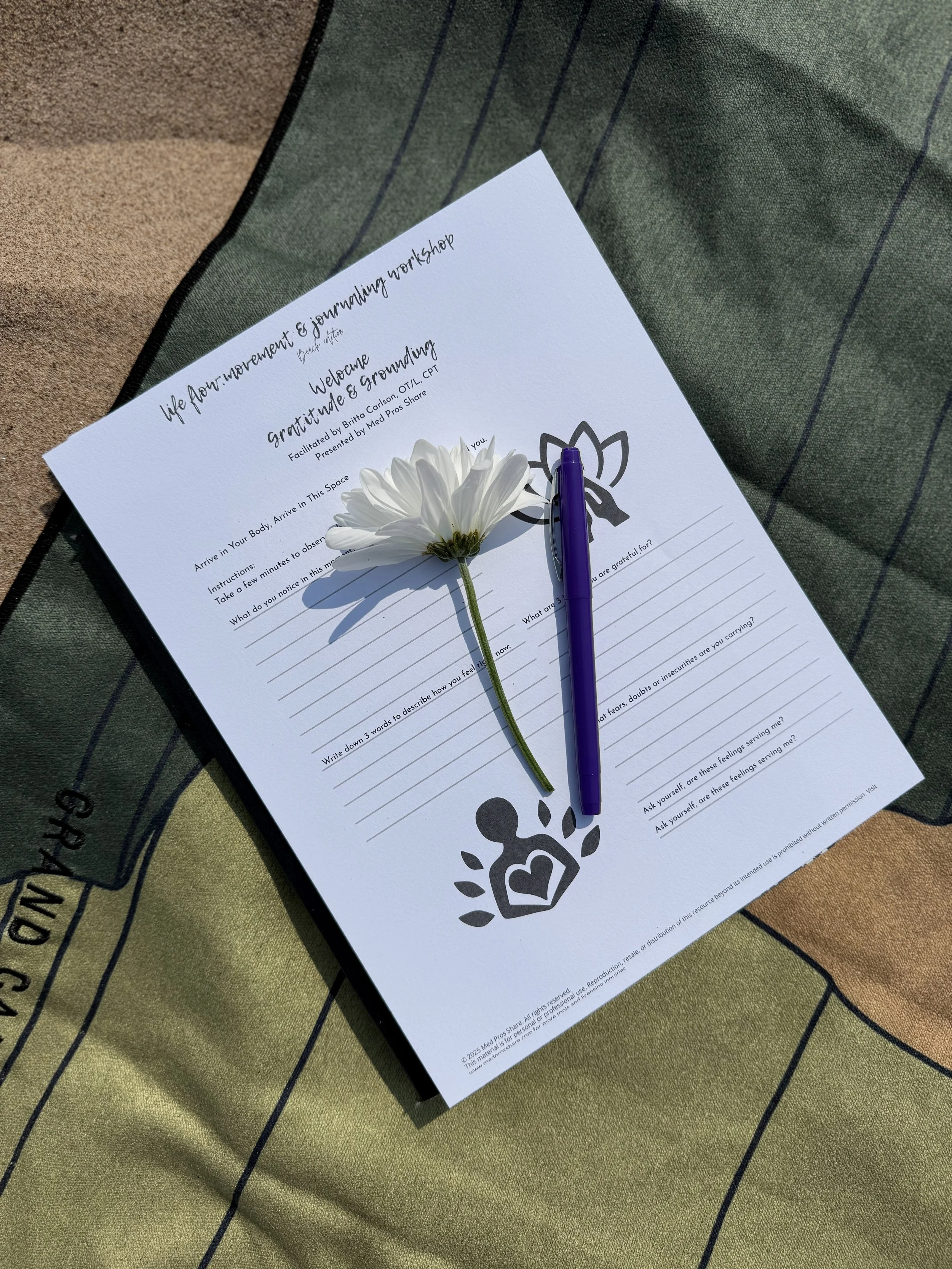 Introductory Package: Life Flow, Movement & Journaling Experience