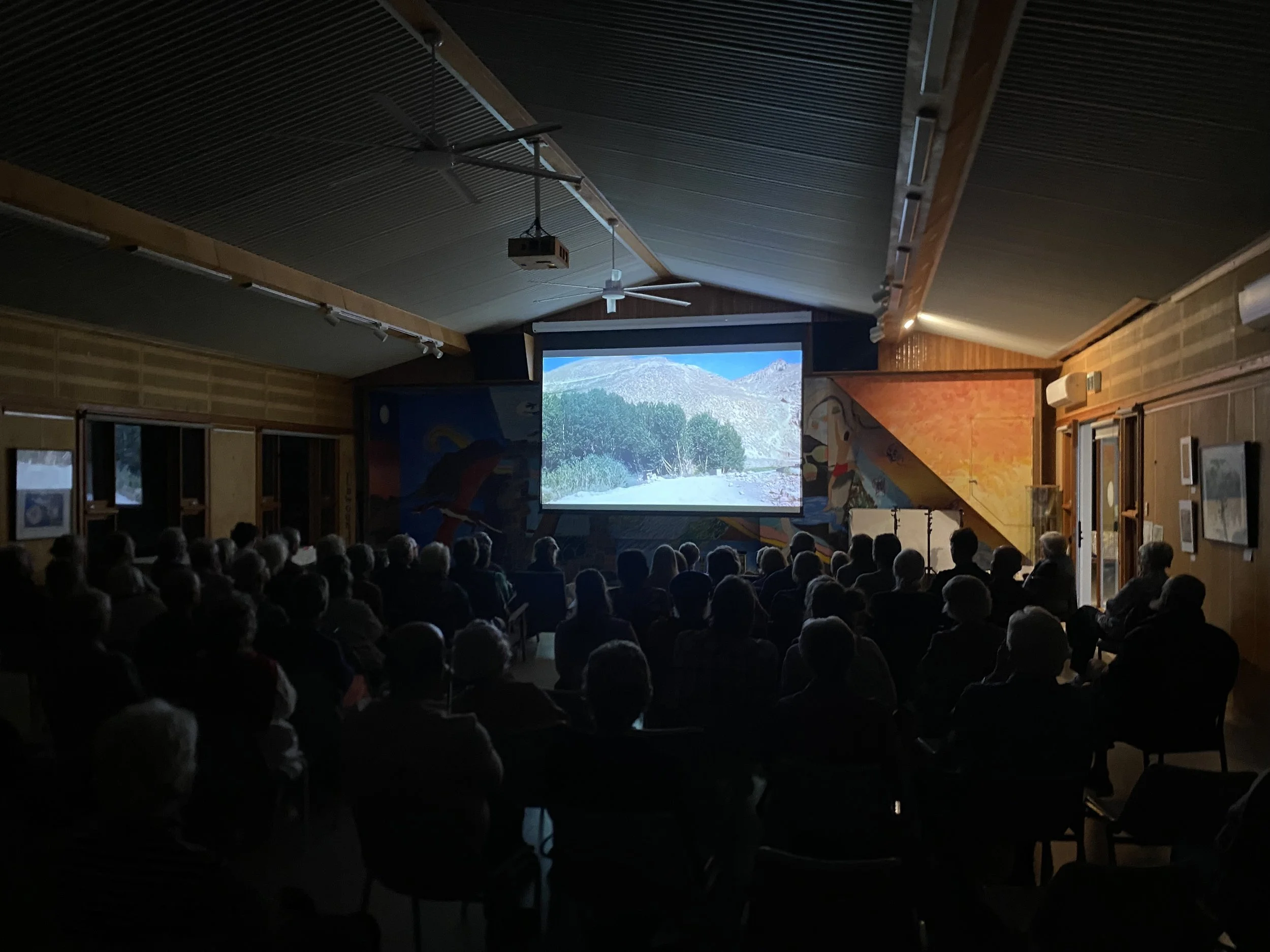 IMG_7375.jpeg