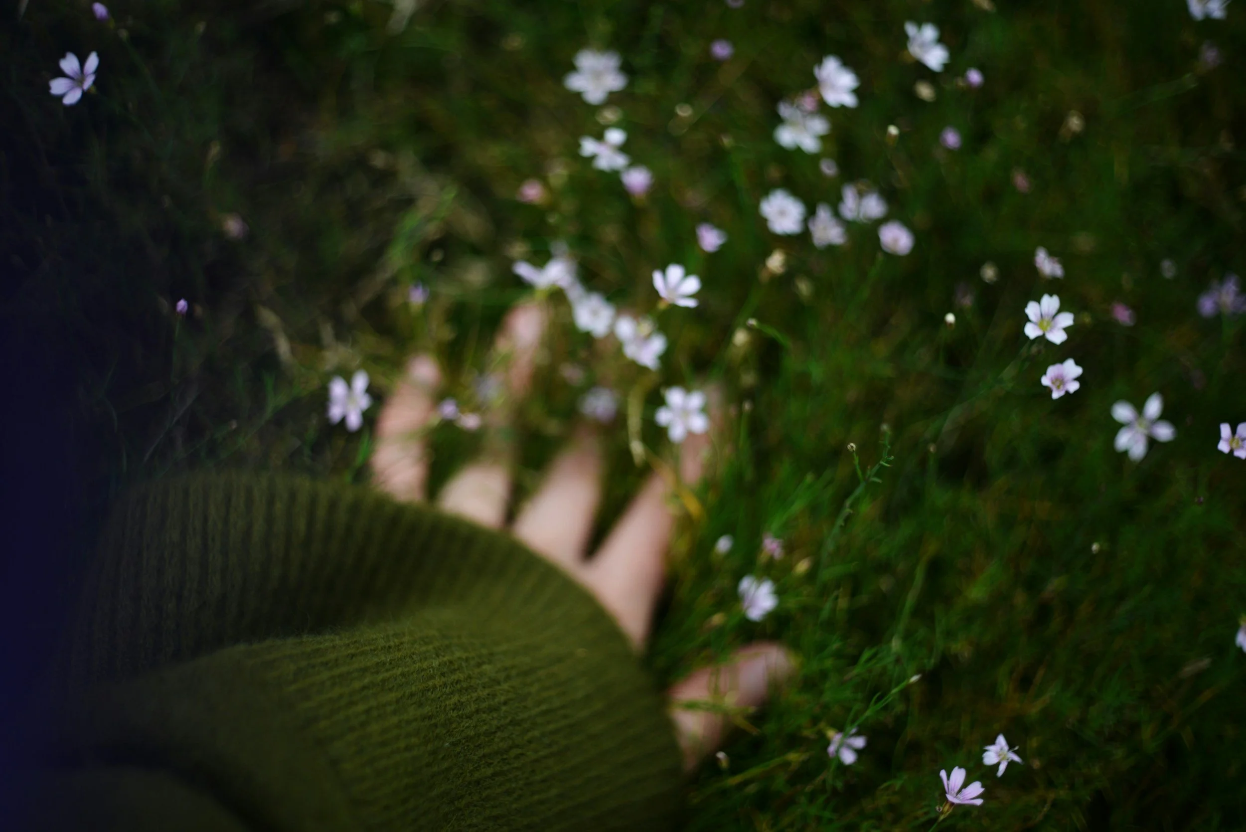 Hand resting near wildflowers in grassy field