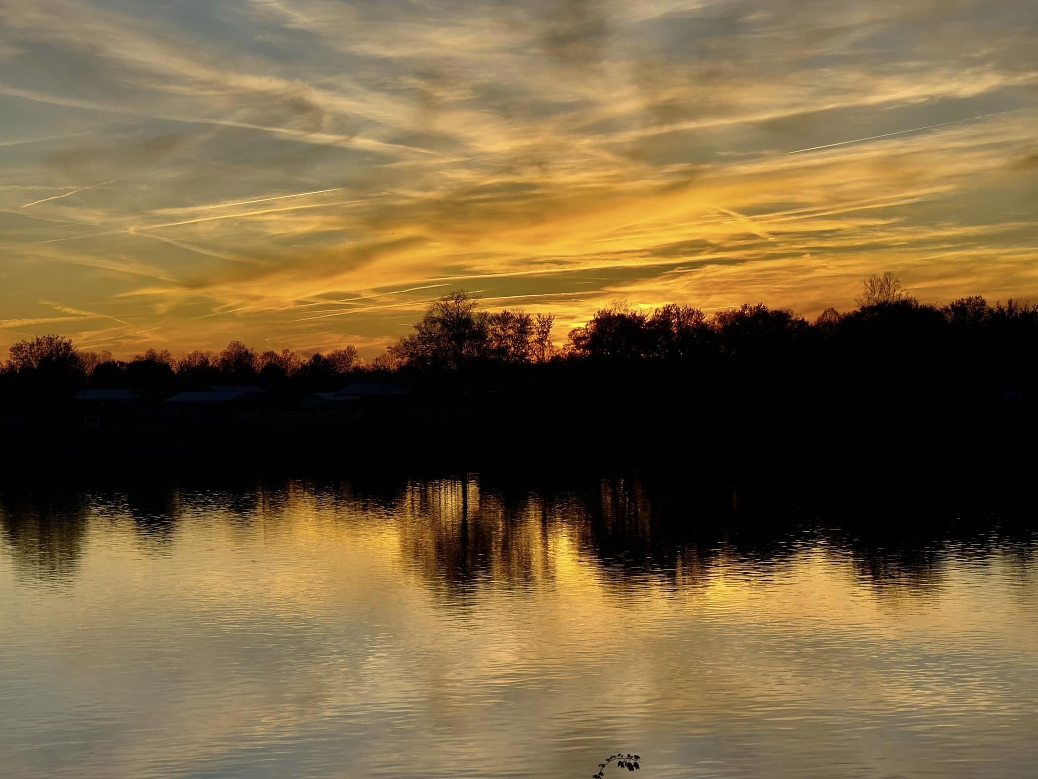 Sunset over a body of water with silhouettes of trees along the horizon and colorful sky with clouds and contrails.