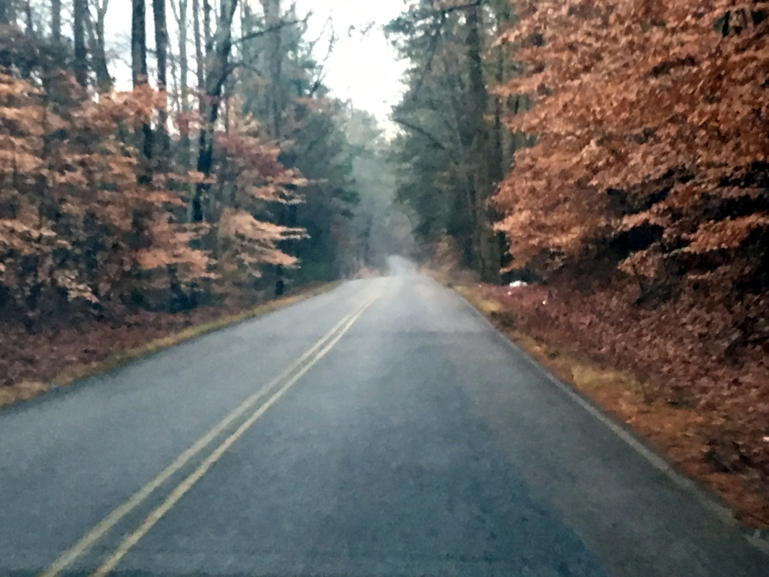 Fall road in Savannah,TN