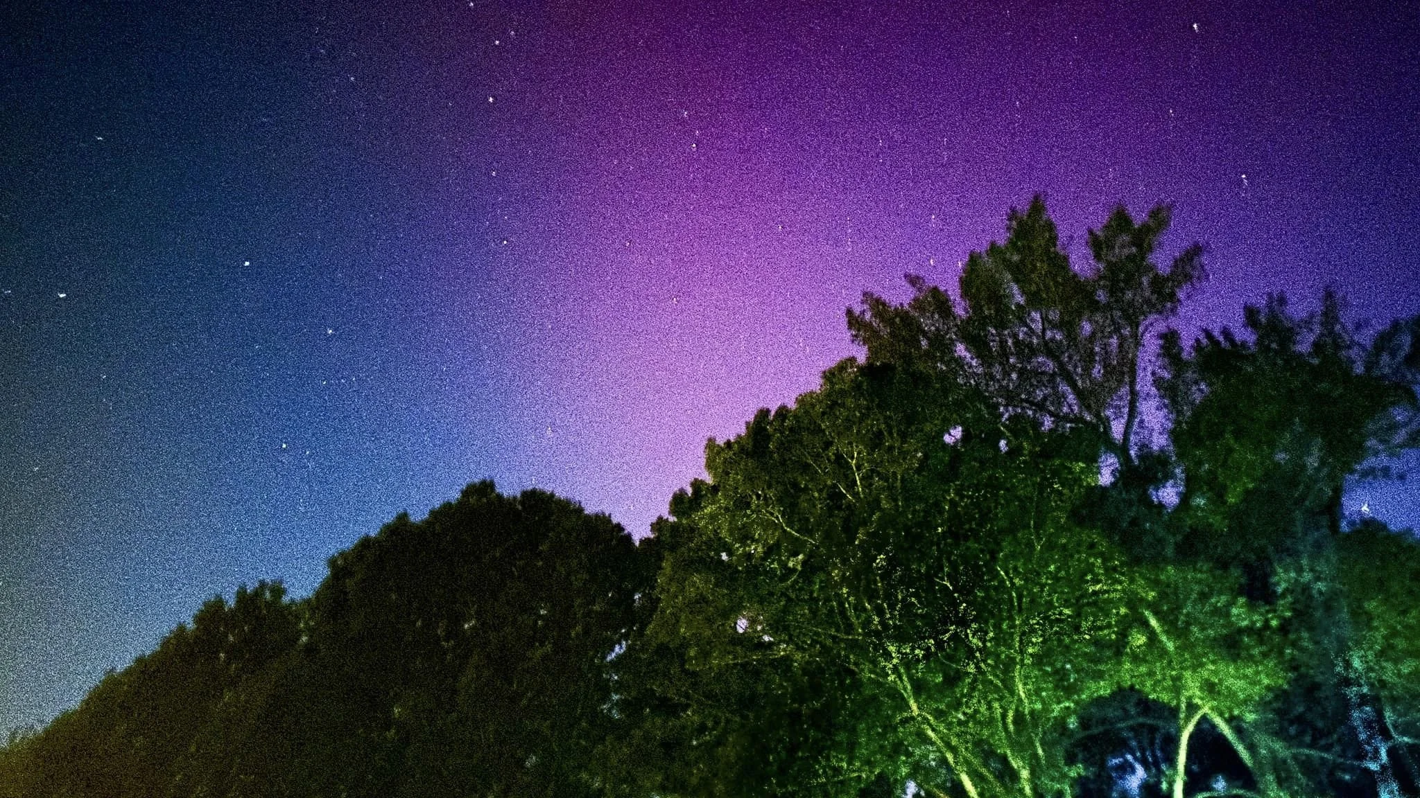 Aurora in Savannah, TN