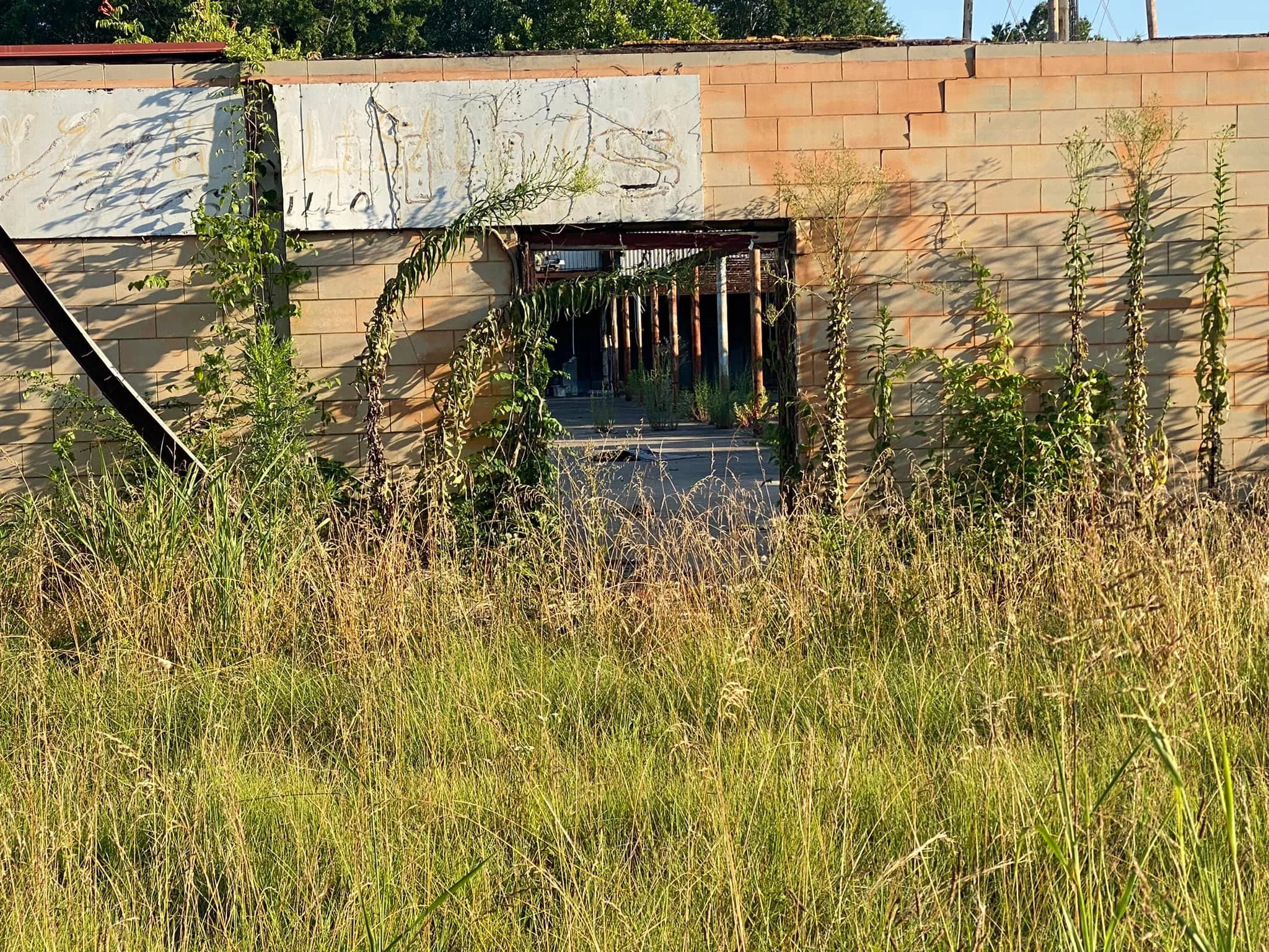#2 Old factory in Saltillo, TN