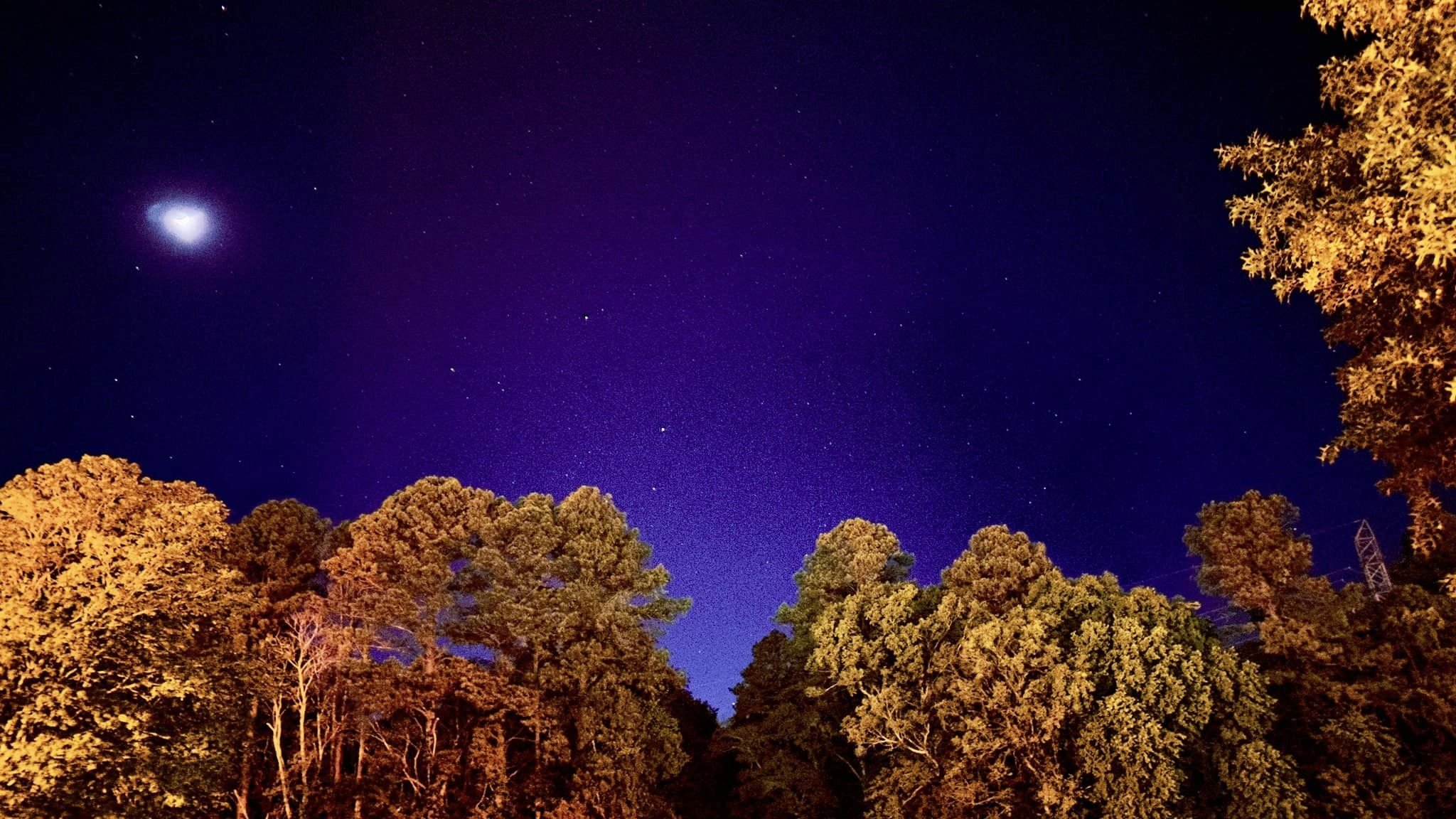 Aurora in Savannah, TN