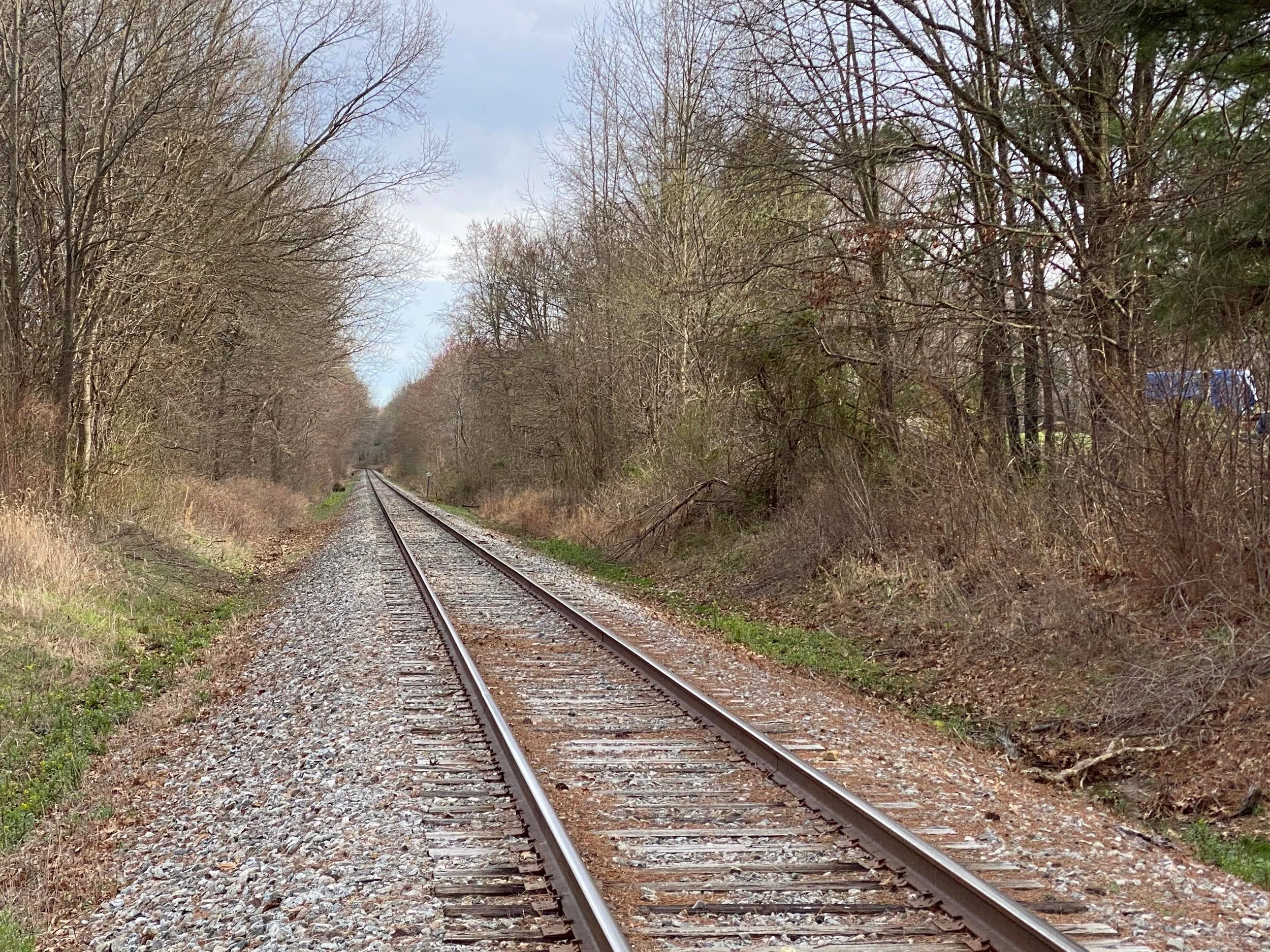 A straight railway track running through a wooded area with trees on both sides, some barren, under a cloudy sky.