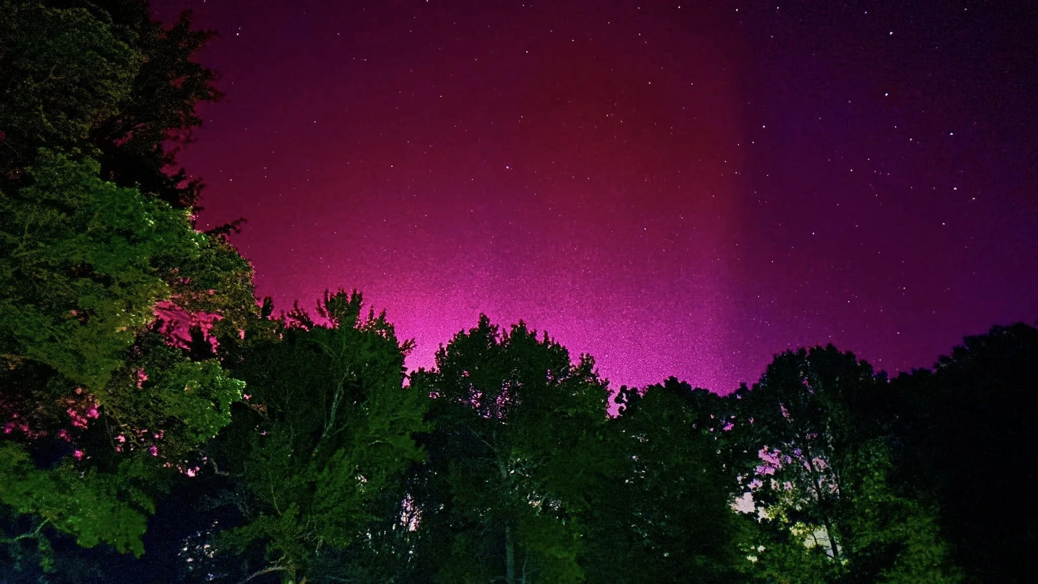 Aurora in Savannah, TN