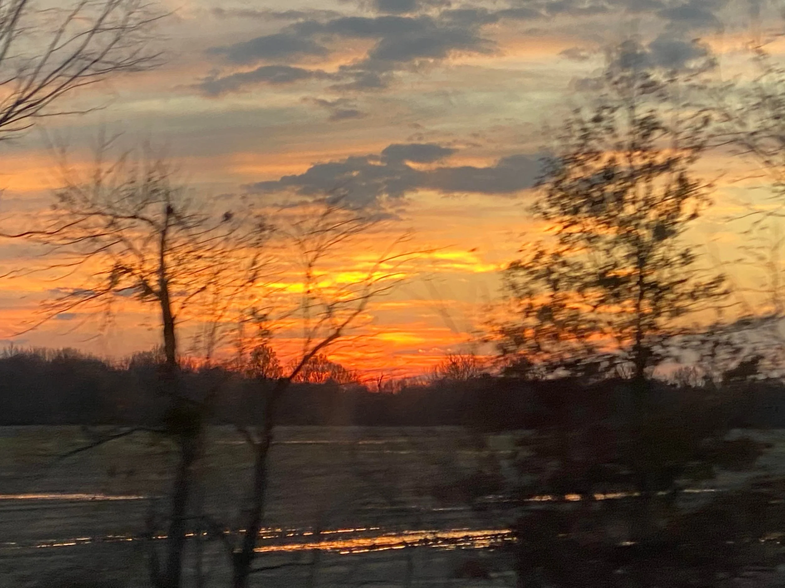 Sunset with orange and yellow sky, blurred trees and water in foreground, on a winter evening.