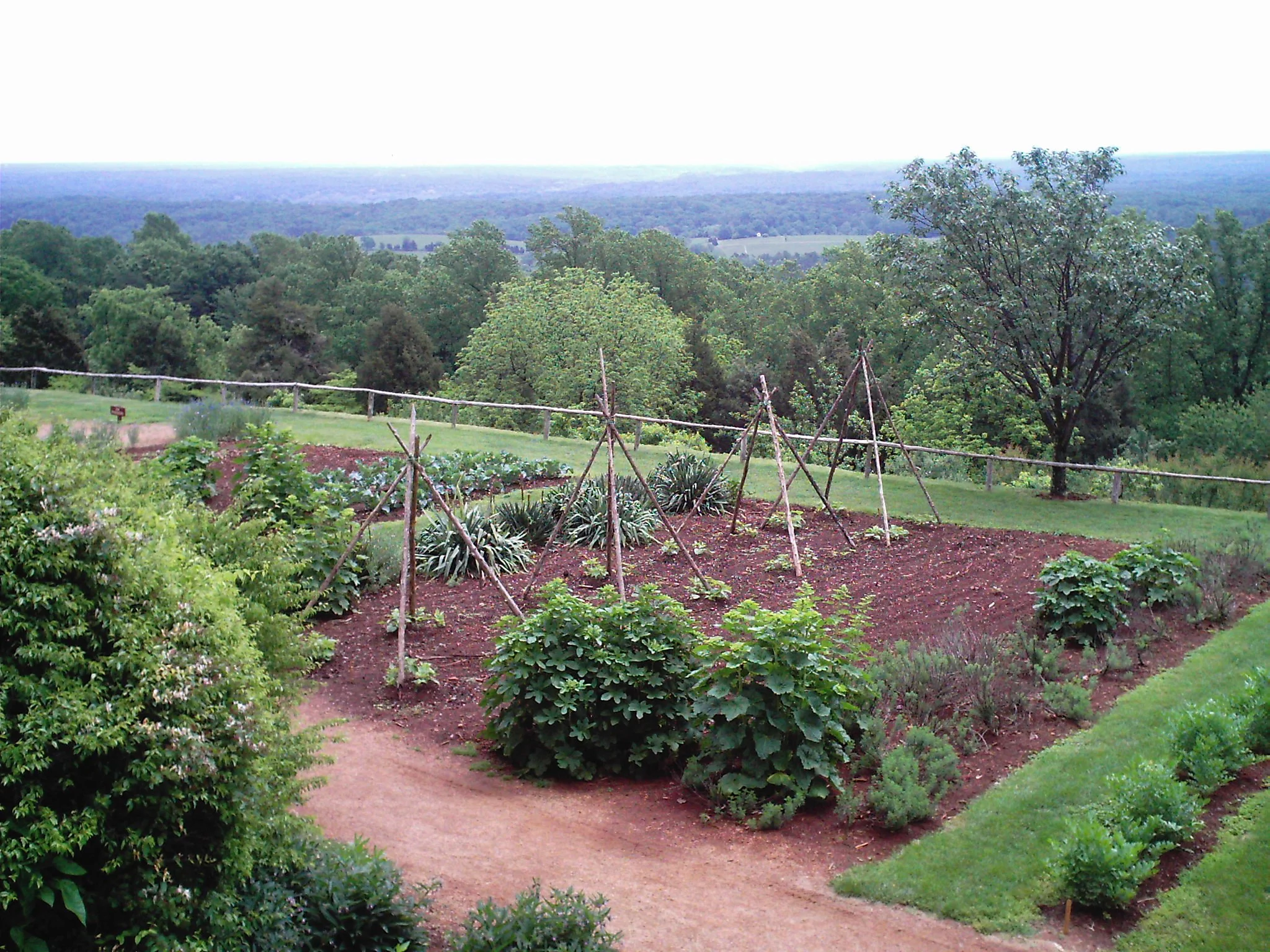 Thomas Jefferson's home at onticello