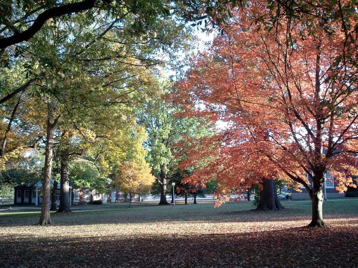 UT Martin in Martin, TN