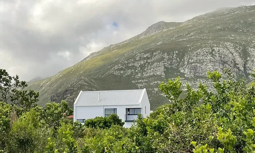 Nieuw Gallery Image 4.webp