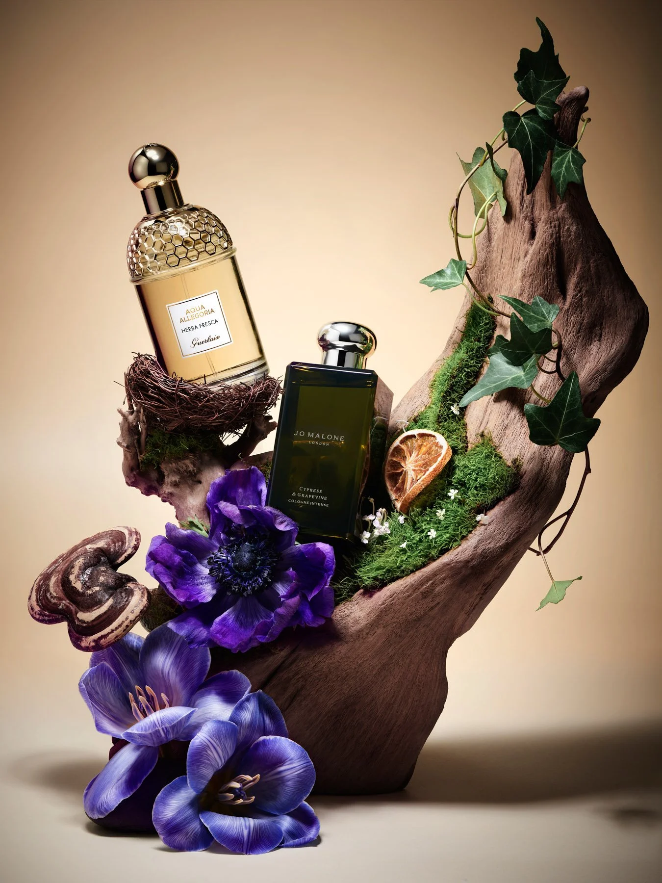 1MB-2023-02-10 22-39-00 (B,Radius8,Smoothing4) 修改2-squarespace.jpg